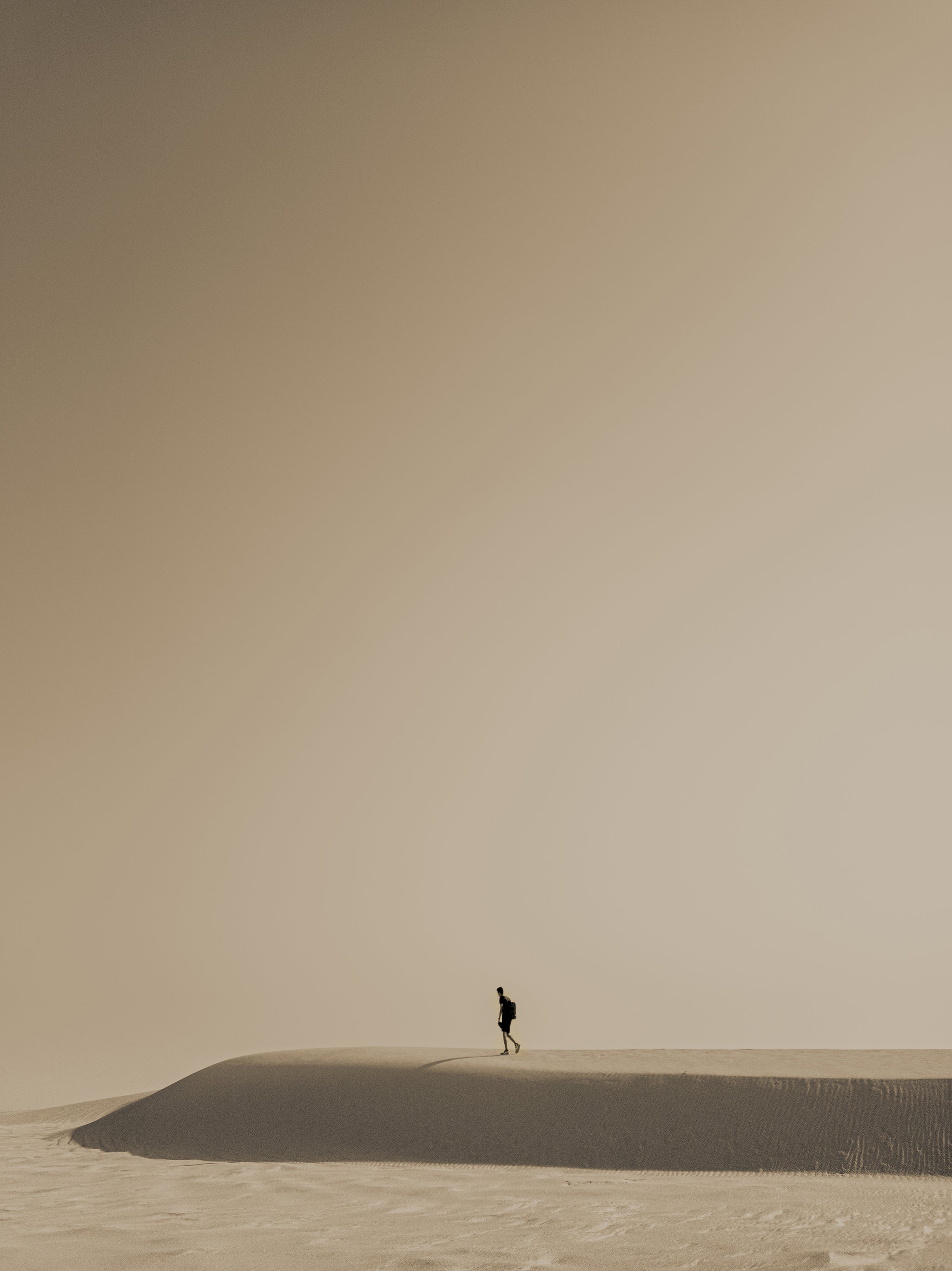 Traveler On A Dune