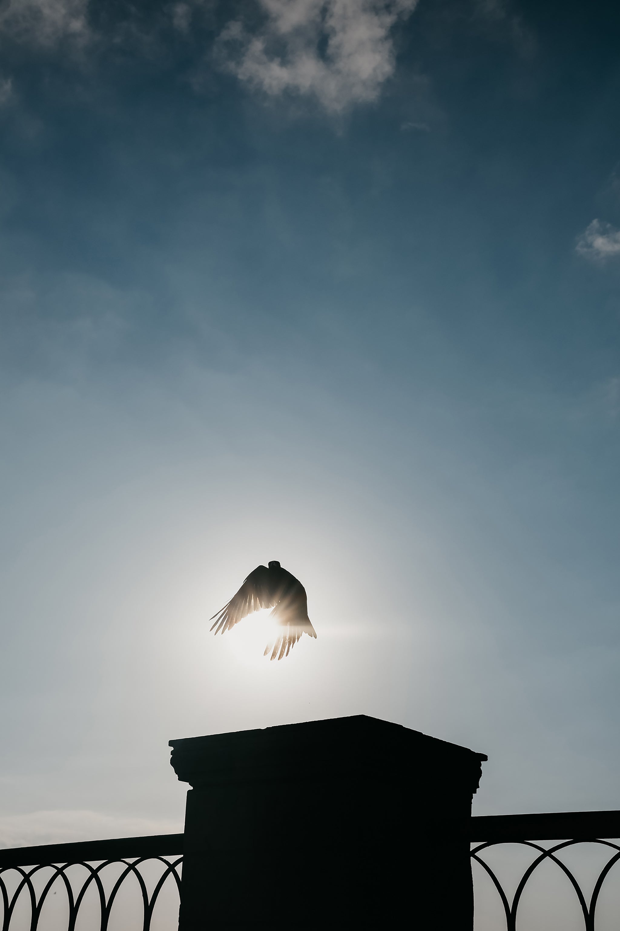 The Rising Phoenix