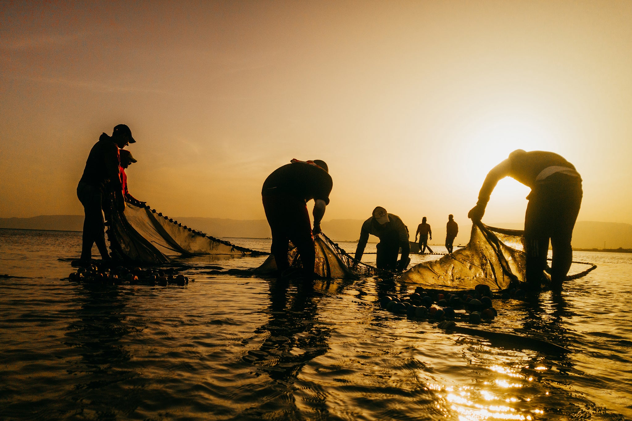 The Fisherman's Crew