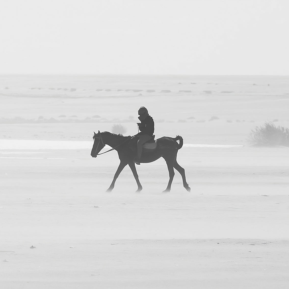 Bedouin Horseman in the Mist
