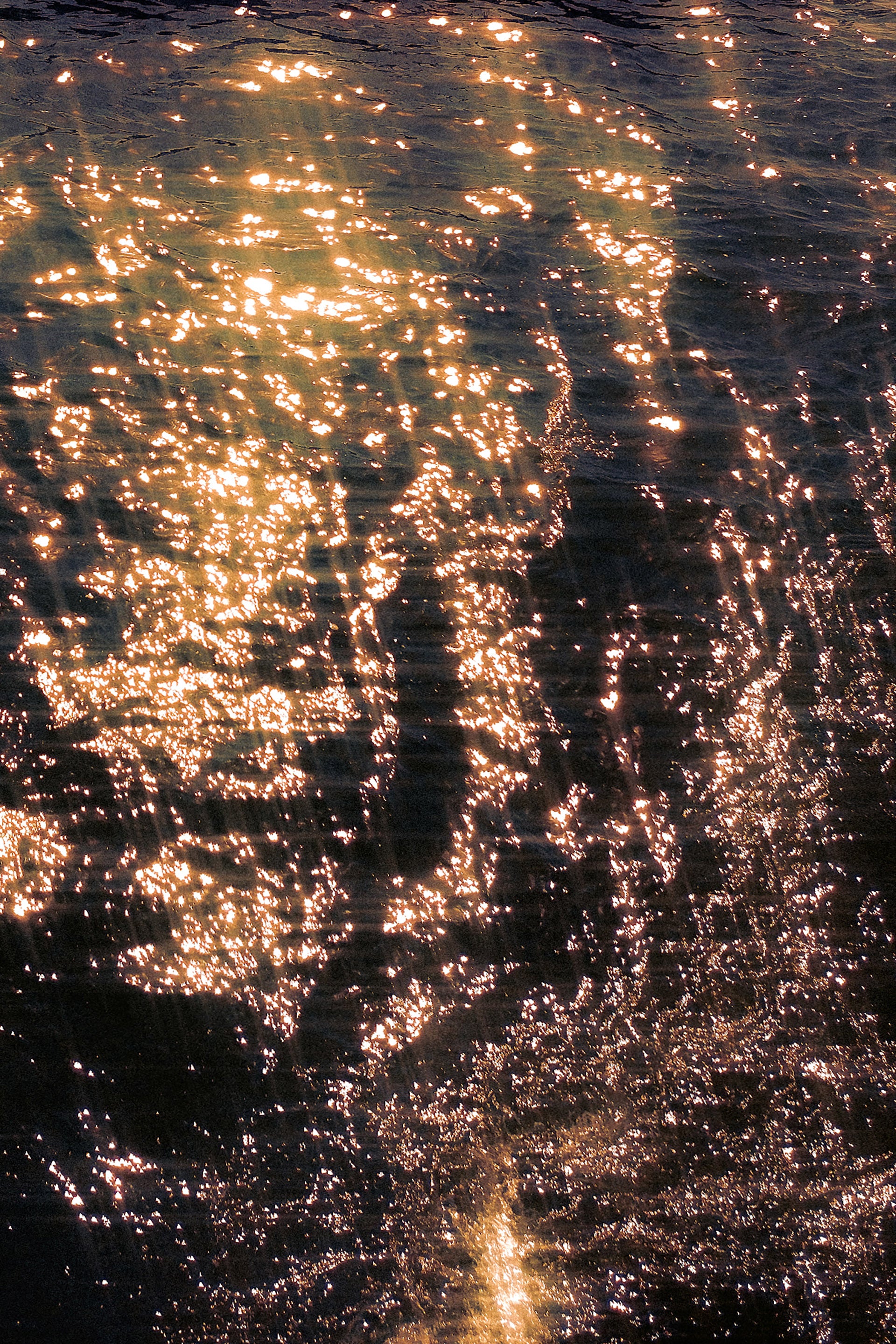 Shimmering Waters