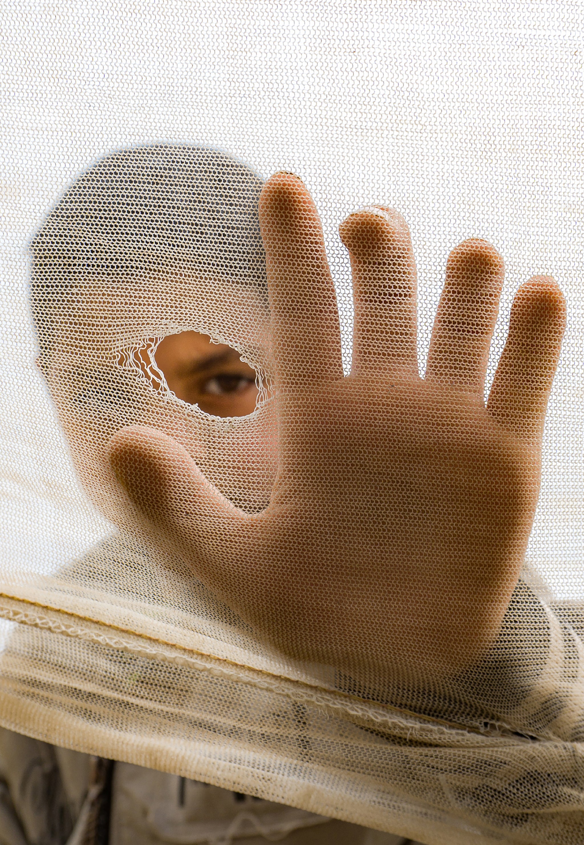 Peeking Through A Net