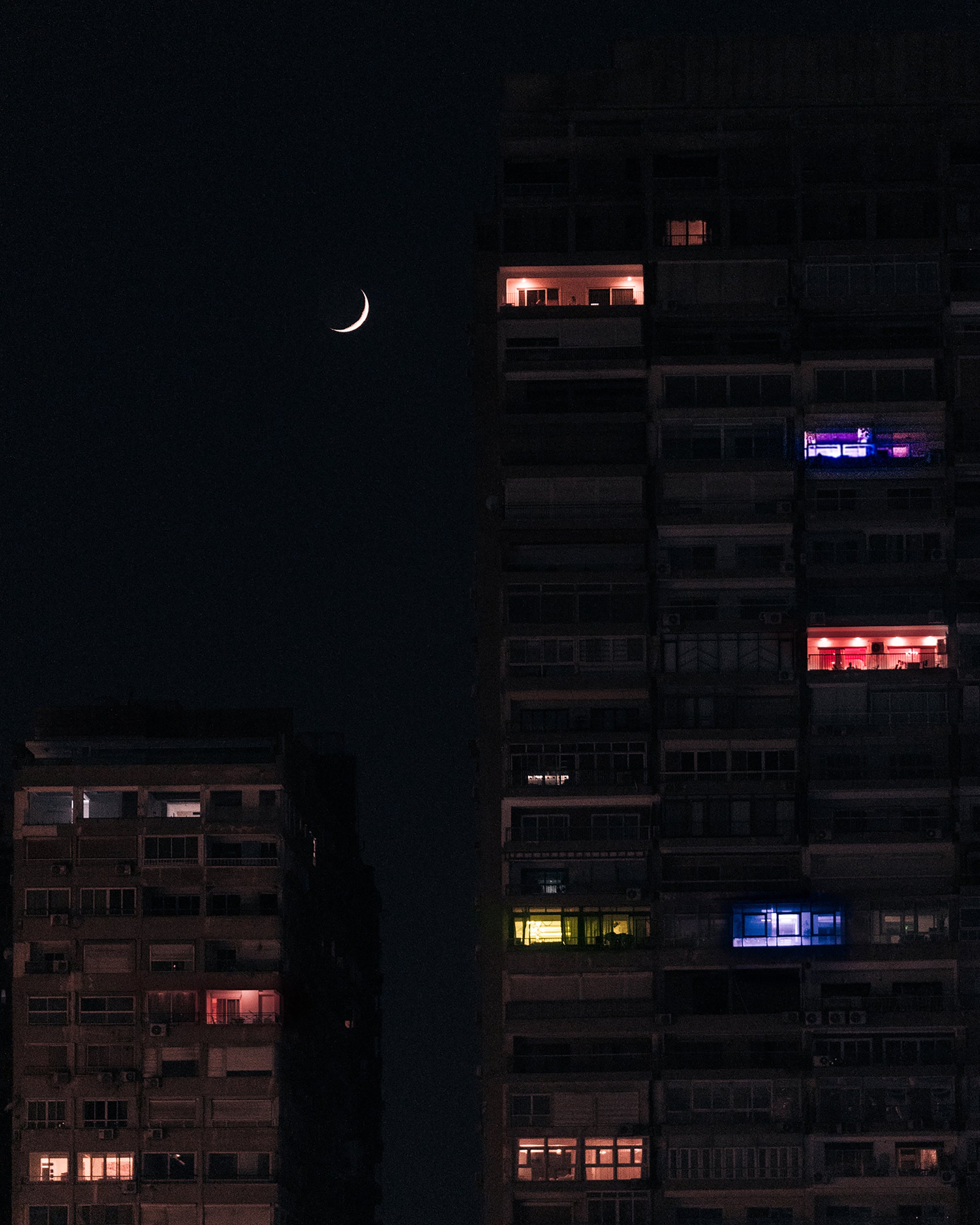 Cairo's Night Owls