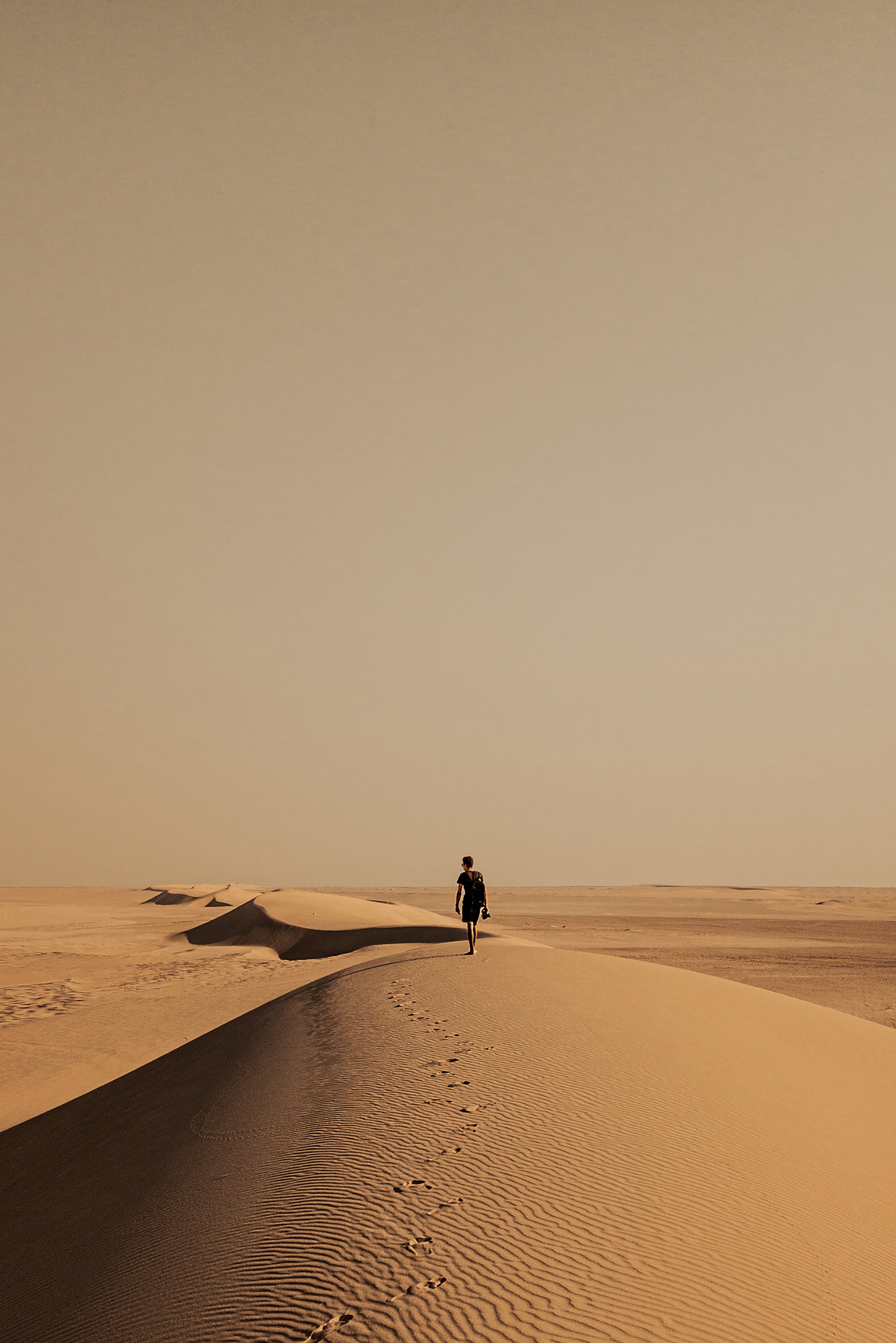 Alone In The Desert