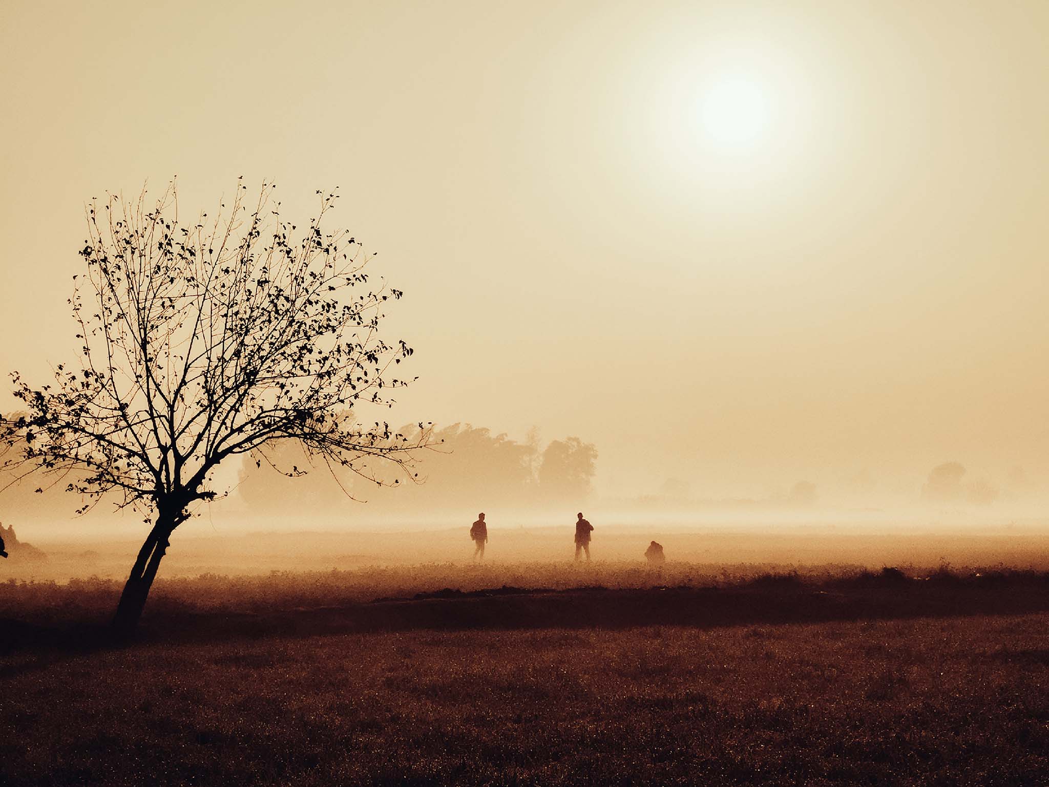 Three Figures Through Haze