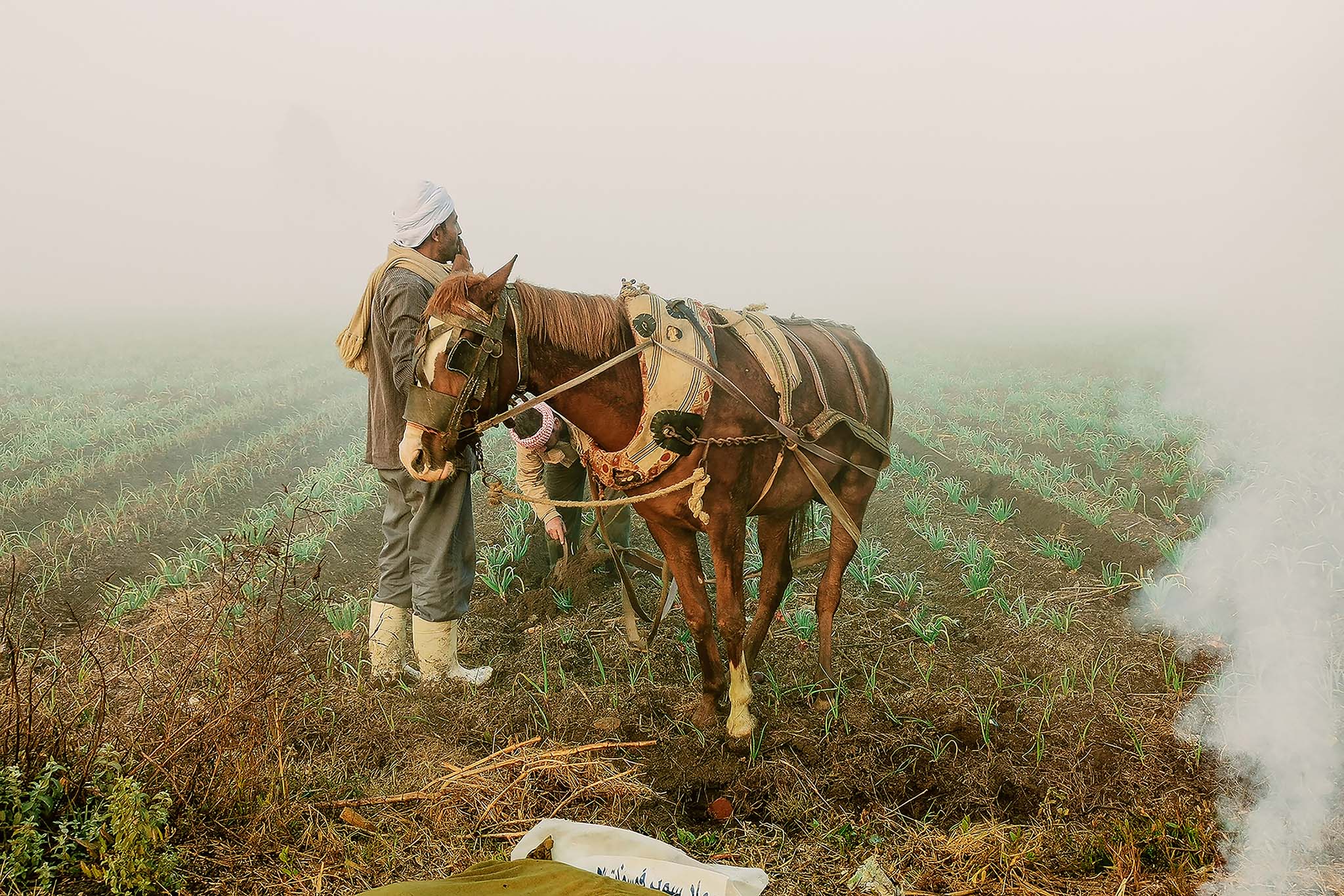 The Farmer's Companion