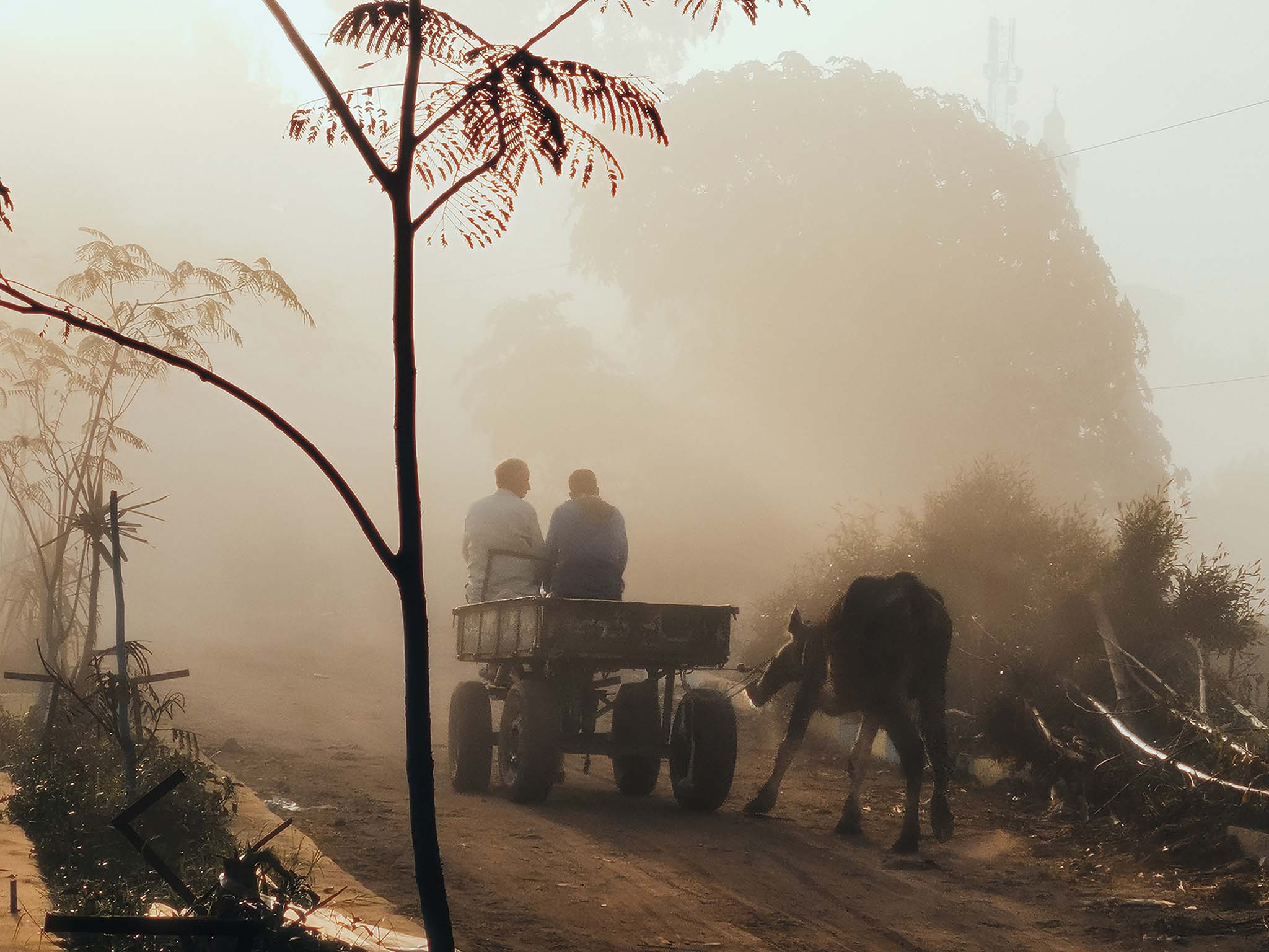 Farmers on a cart at dawn