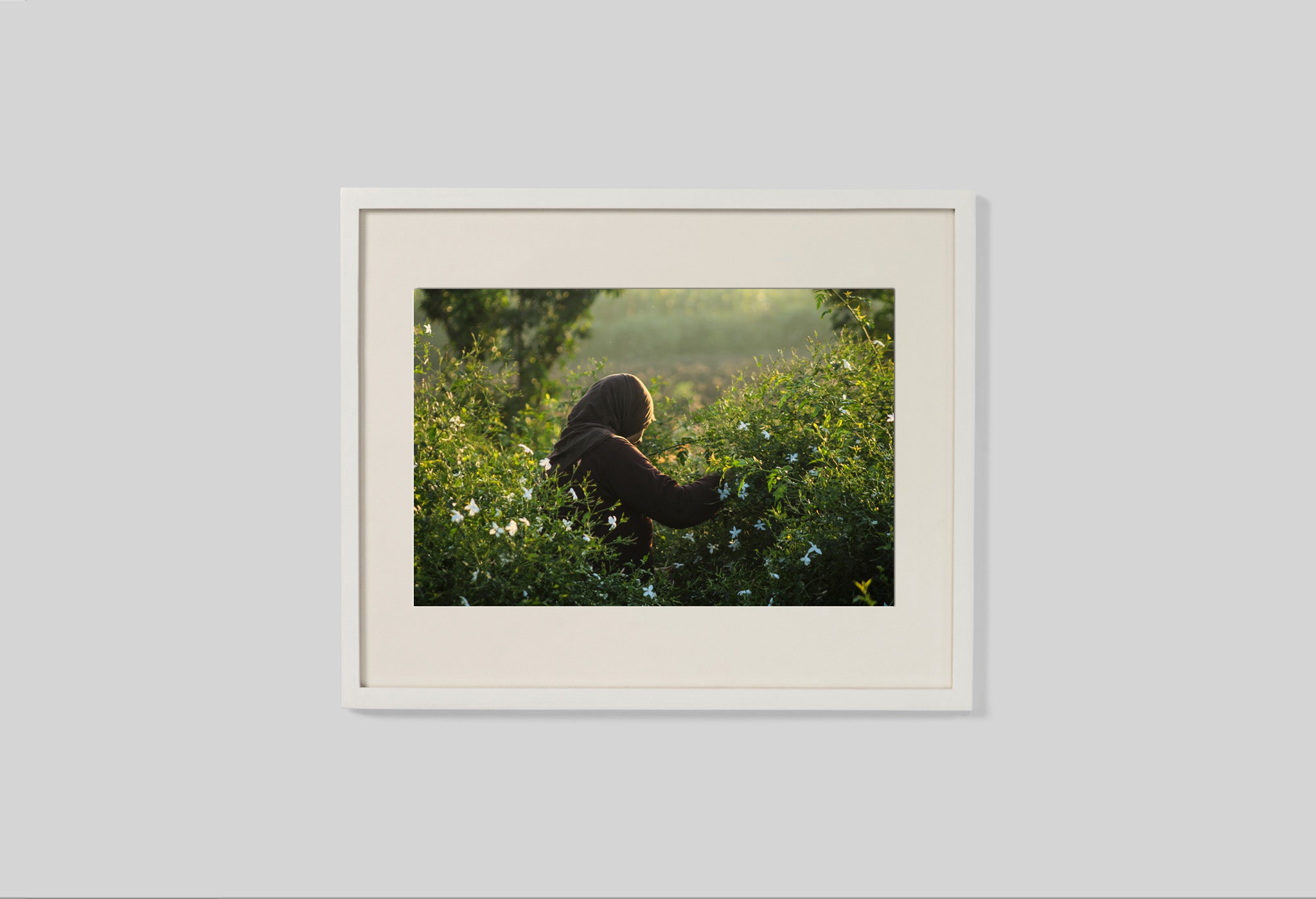 #frame size_50x40cm