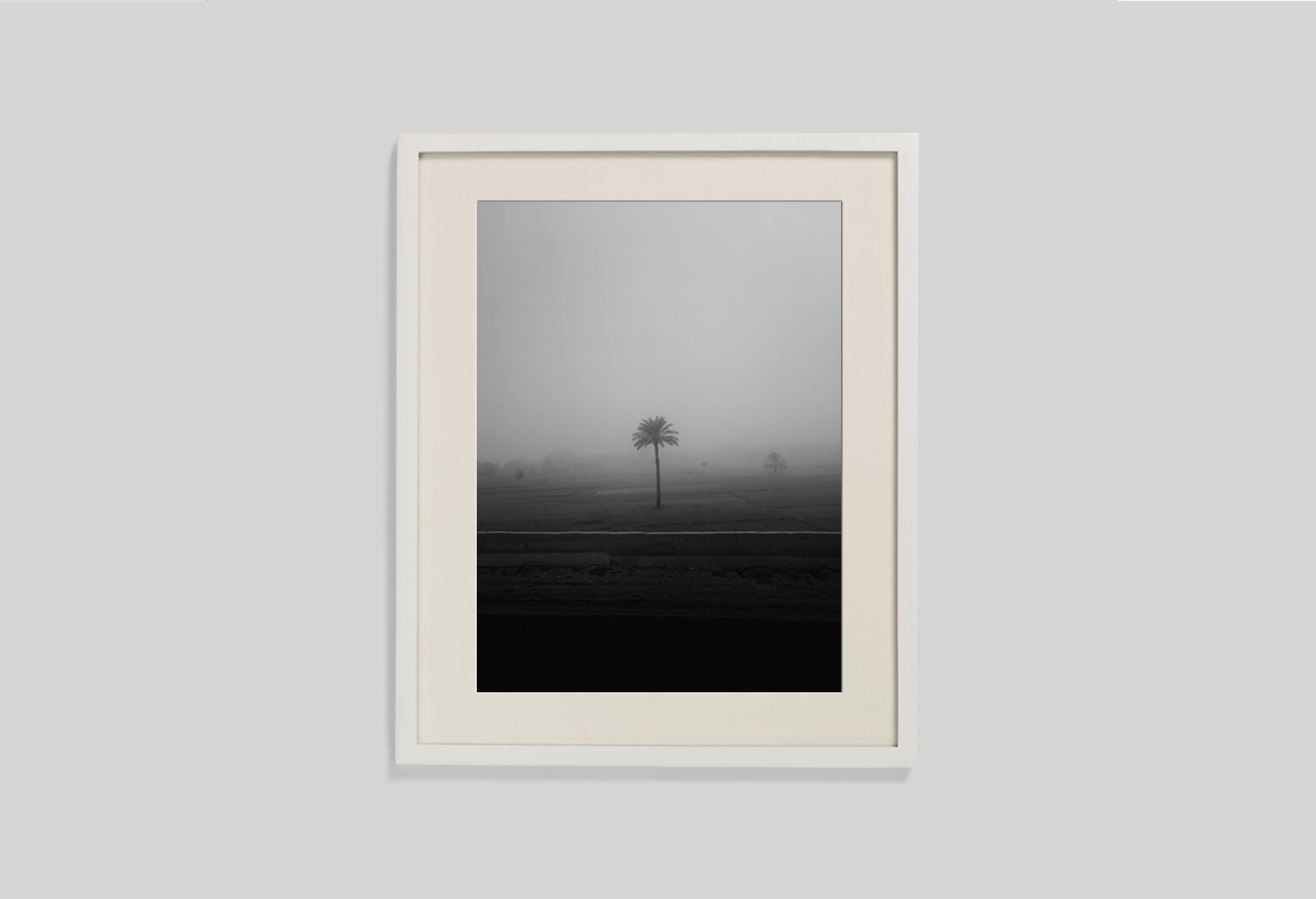 Lone Tree In The Mist