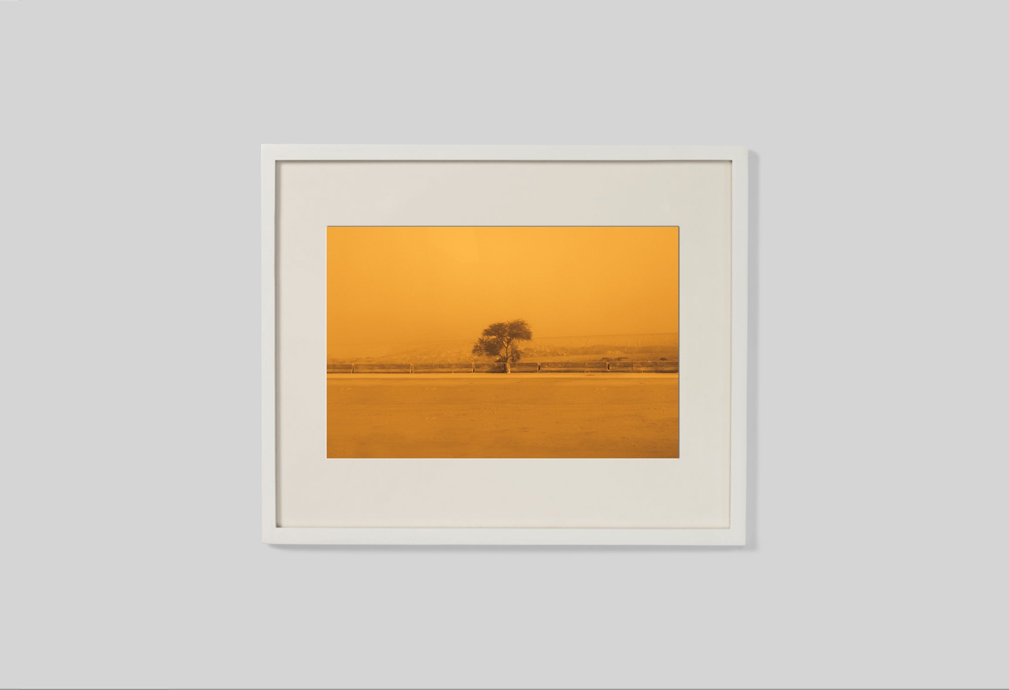 The Sepia-Tinted Tree