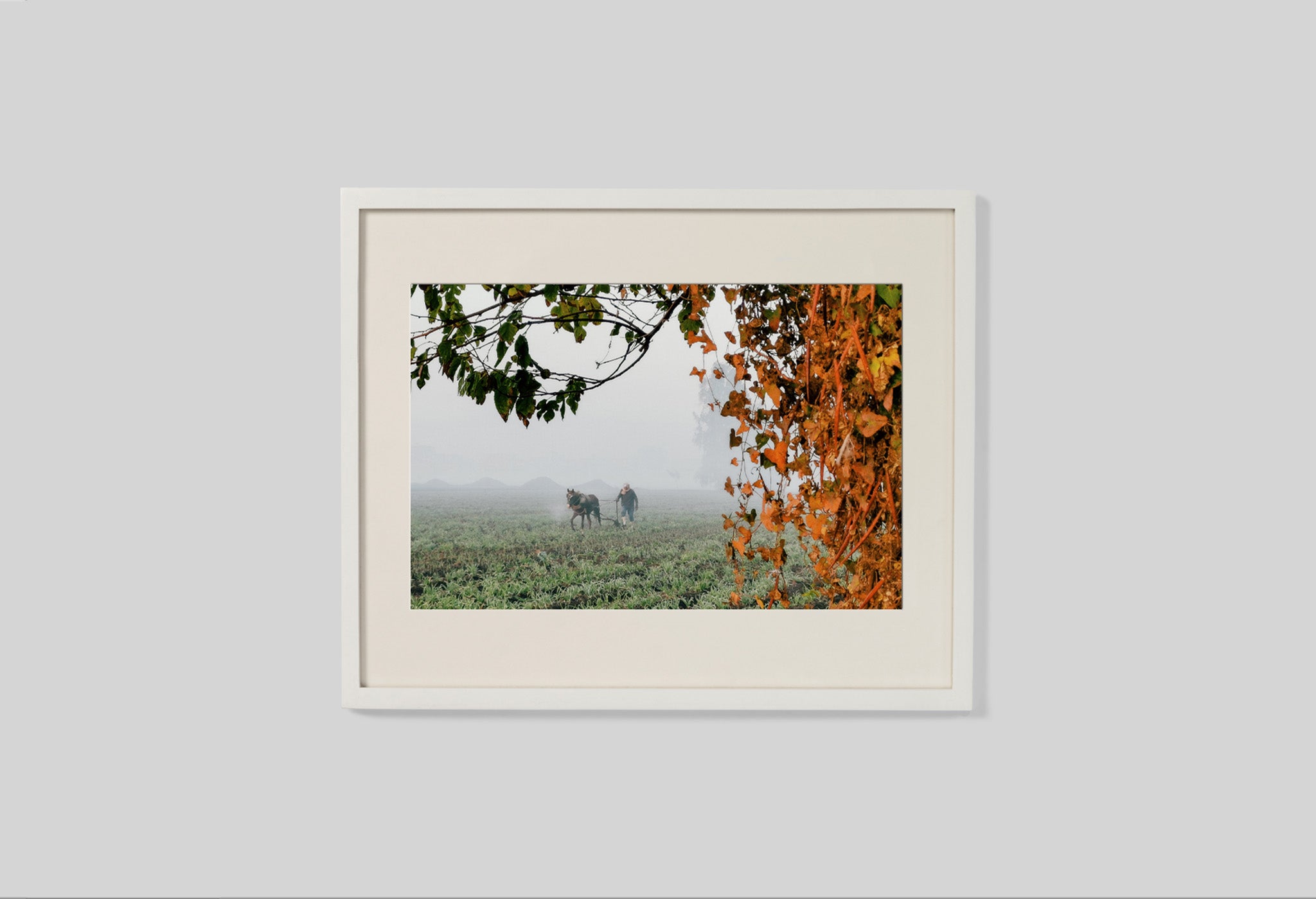 #frame size_50x40cm