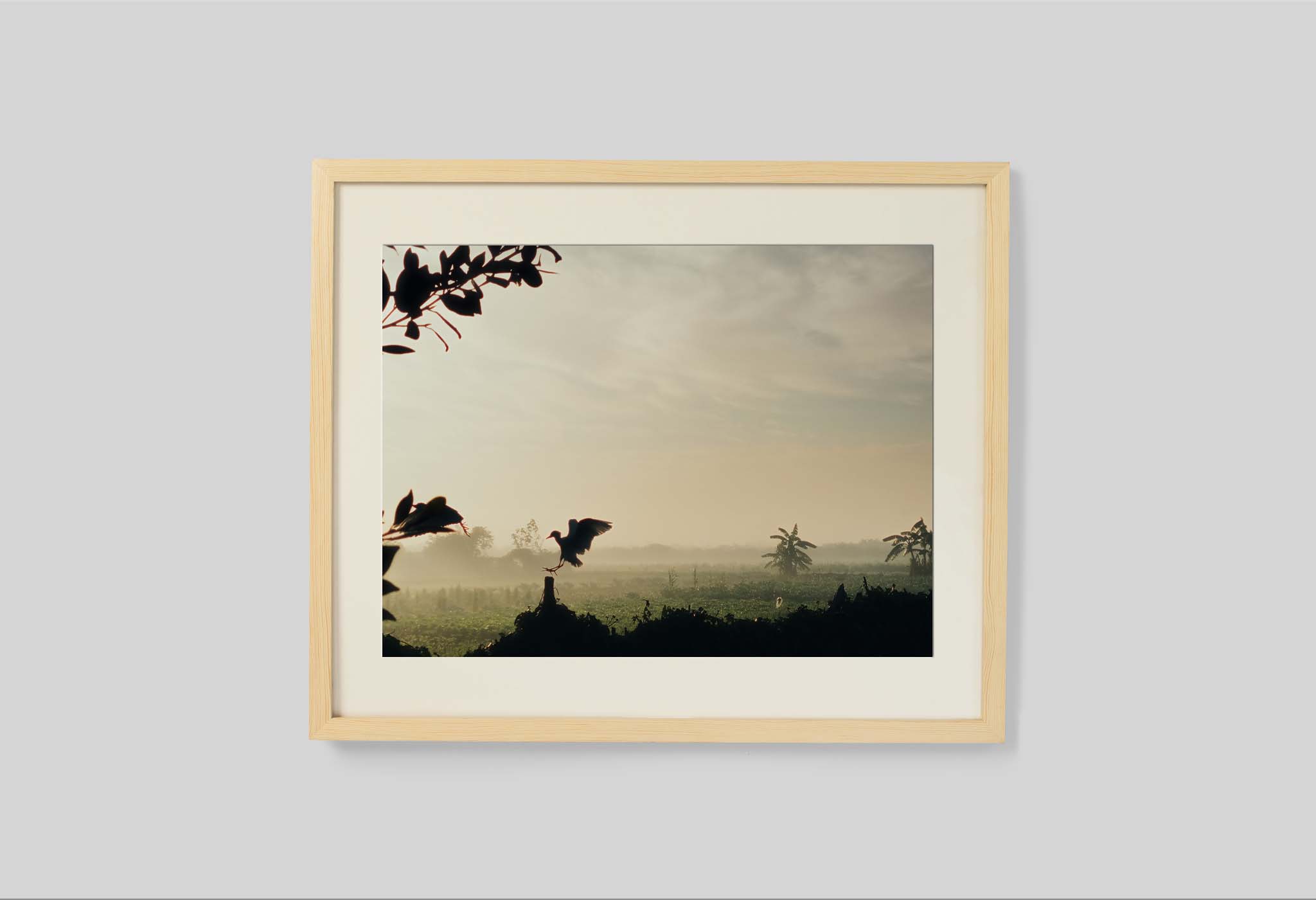 #frame size_60x50cm