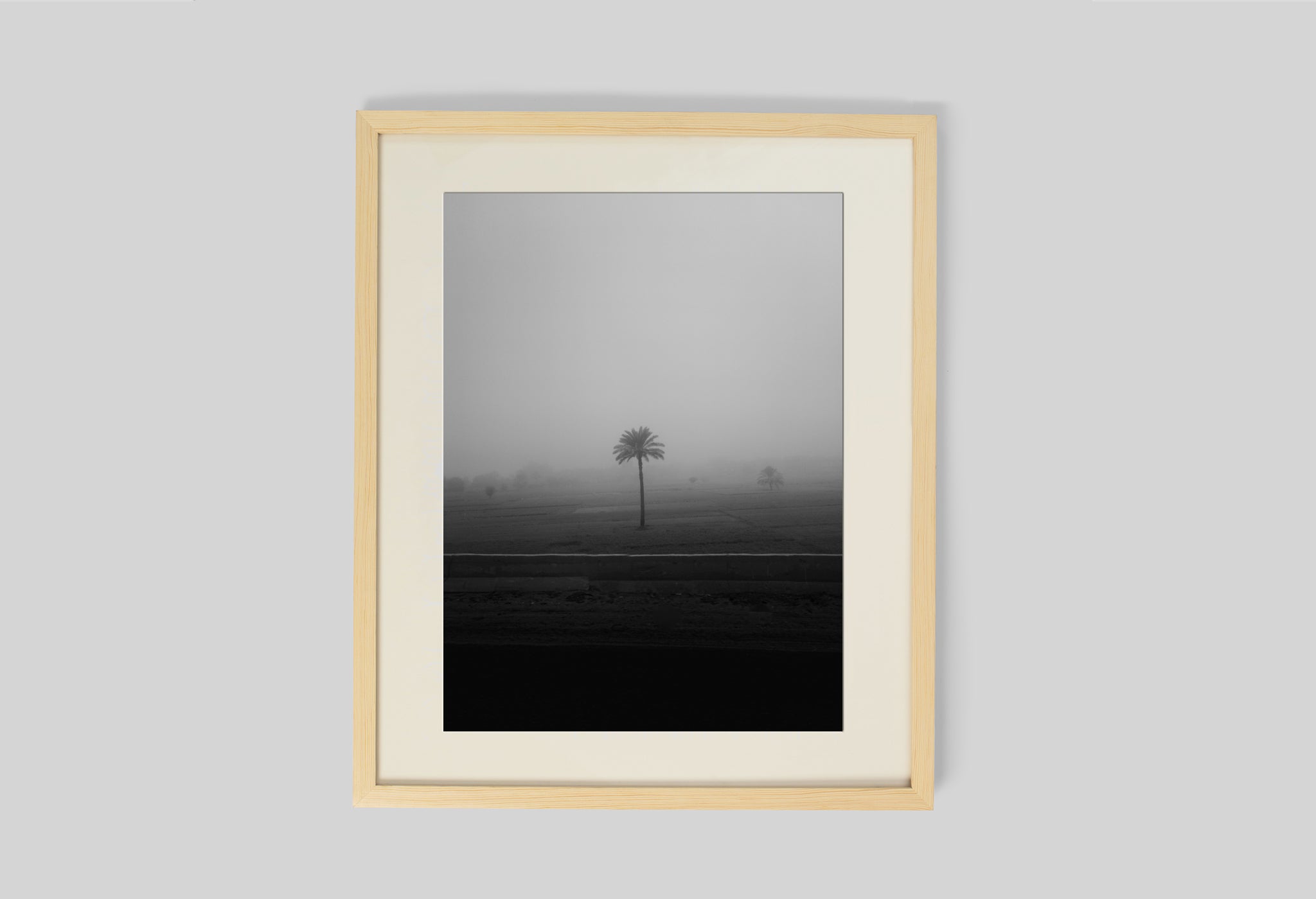 Lone Tree In The Mist