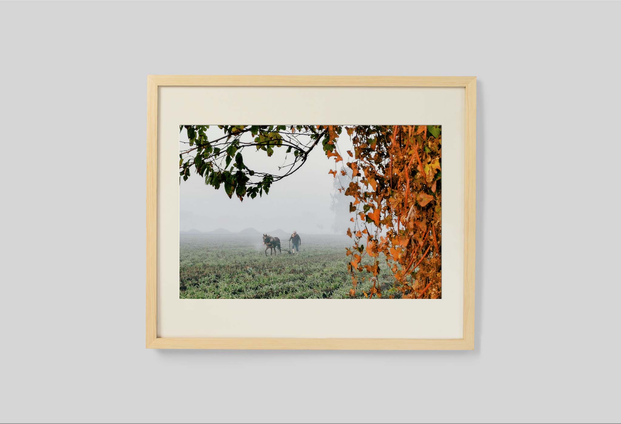 #frame size_60x50cm