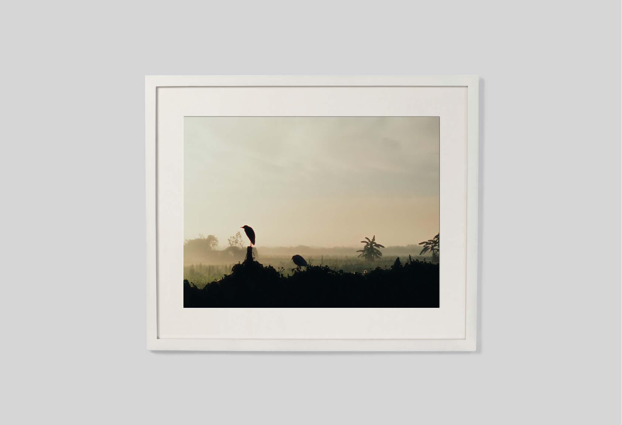 #frame size_60x50cm