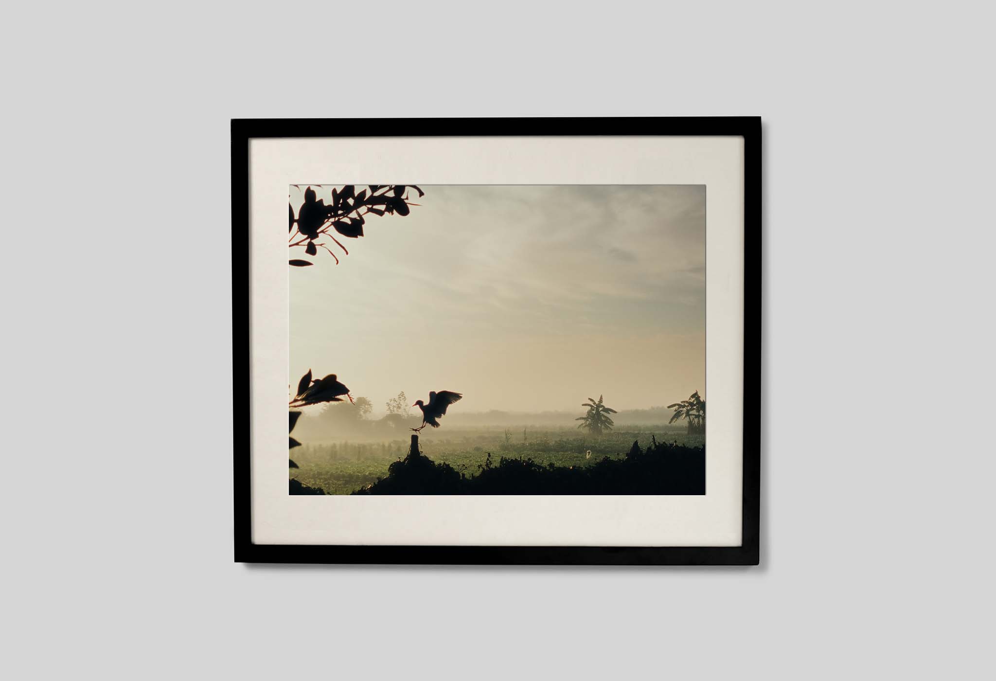 #frame size_60x50cm