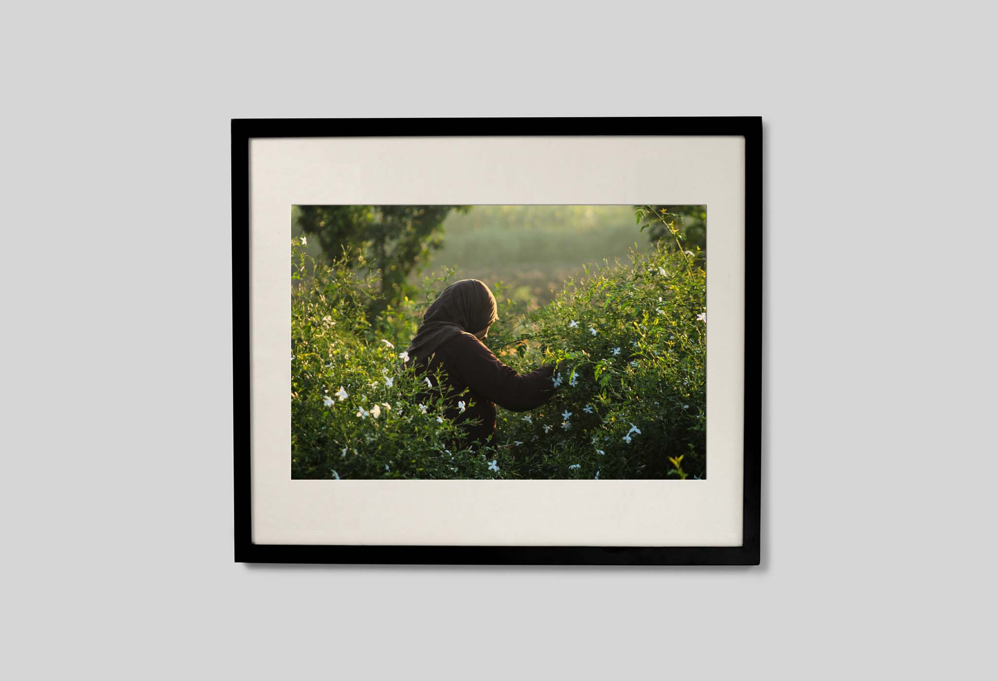 #frame size_60x50cm