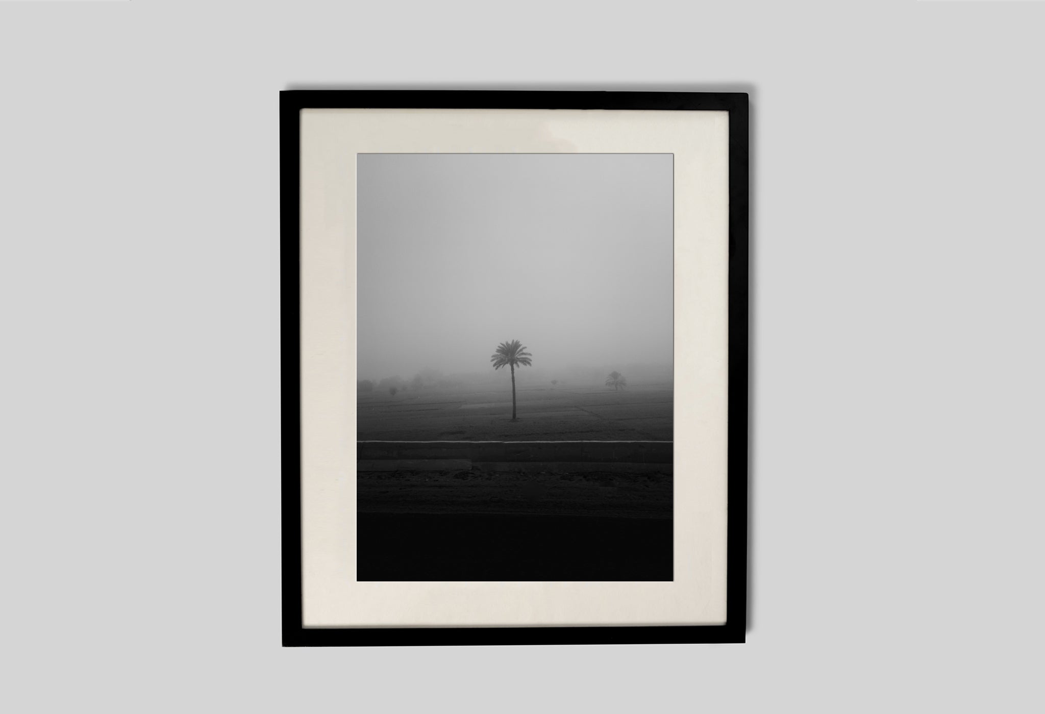 Lone Tree In The Mist