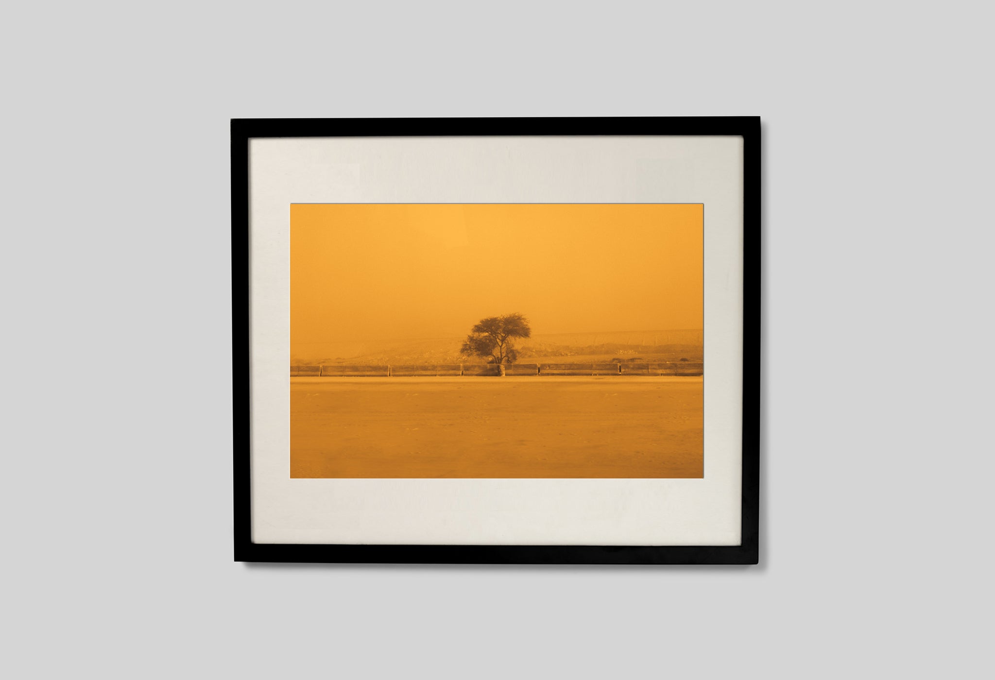 The Sepia-Tinted Tree