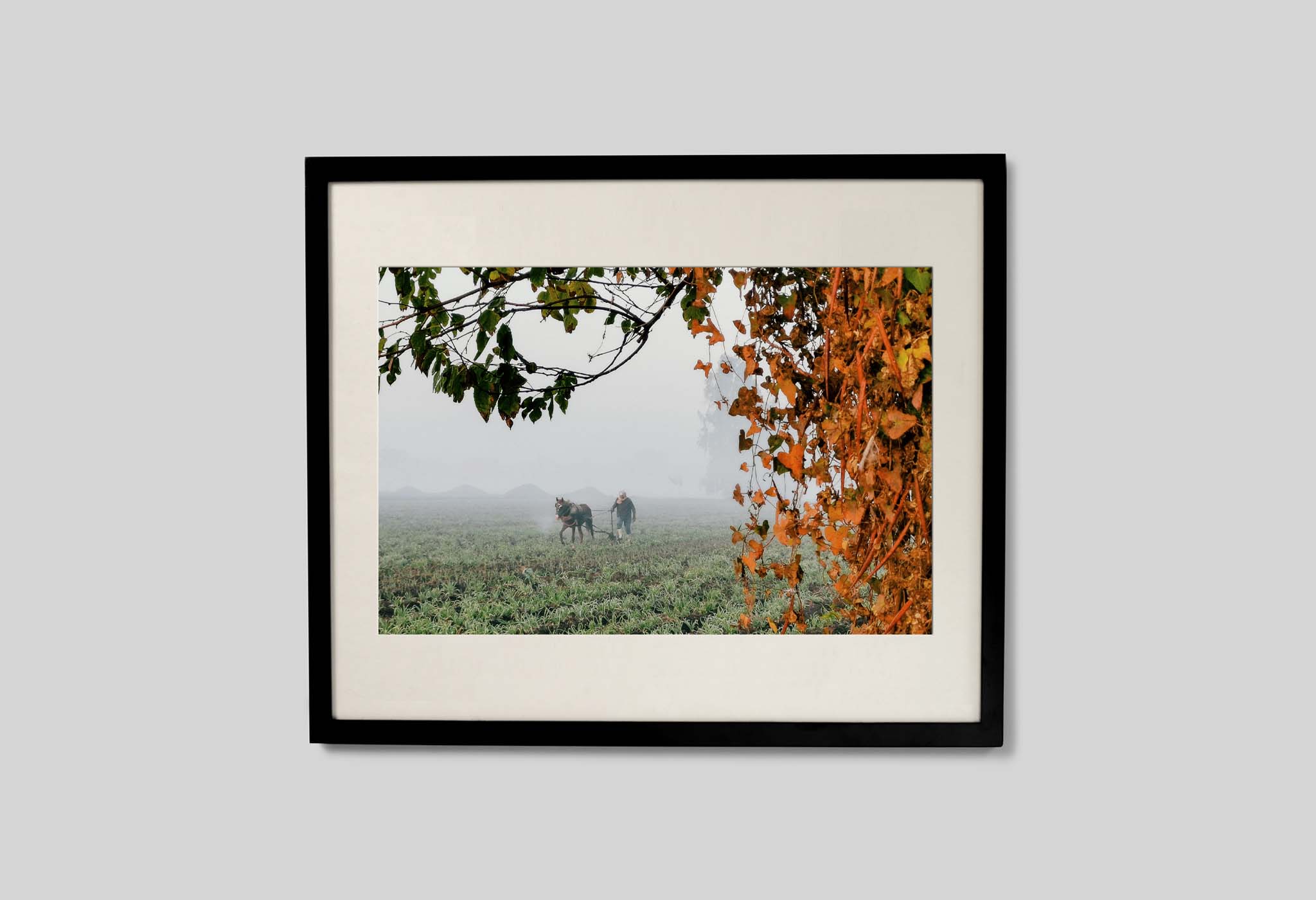 #frame size_60x50cm