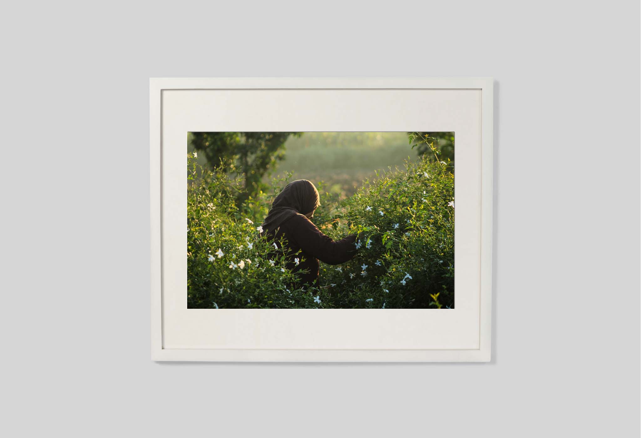 #frame size_60x50cm