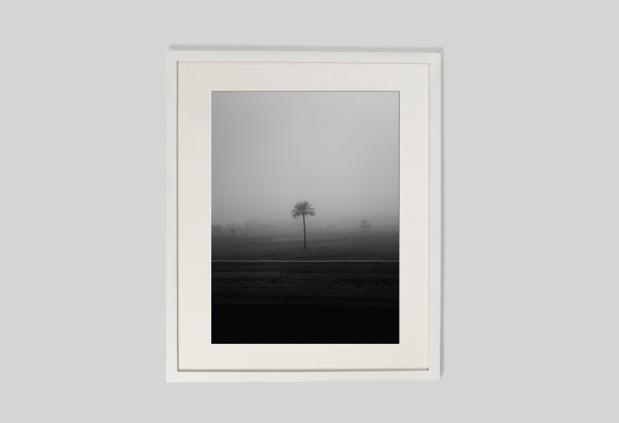 Lone Tree In The Mist