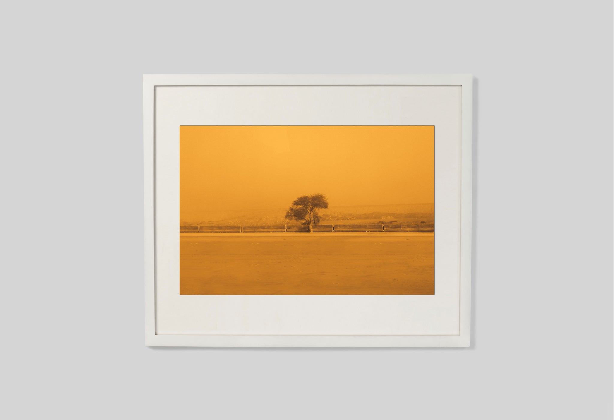 The Sepia-Tinted Tree