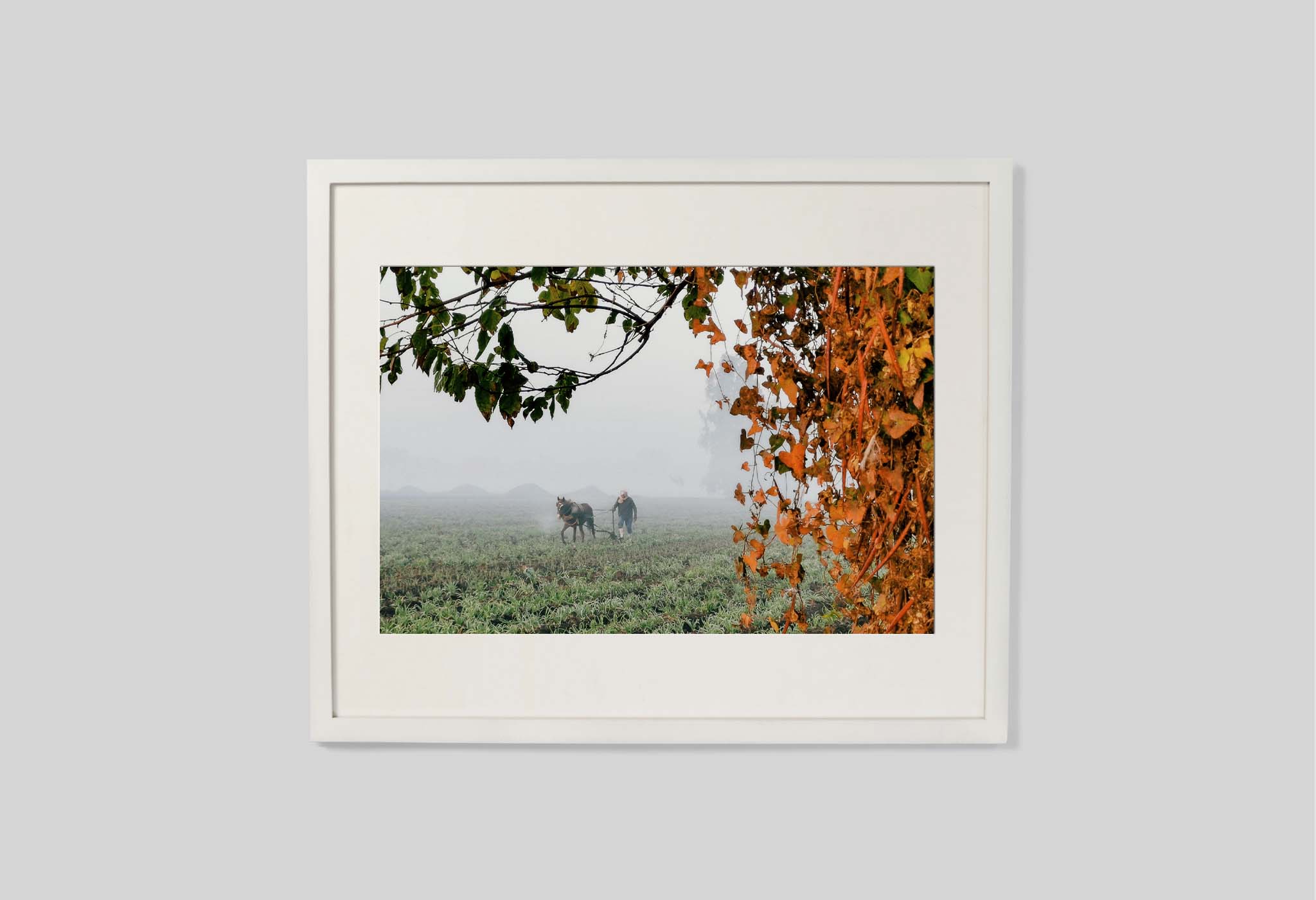 #frame size_60x50cm