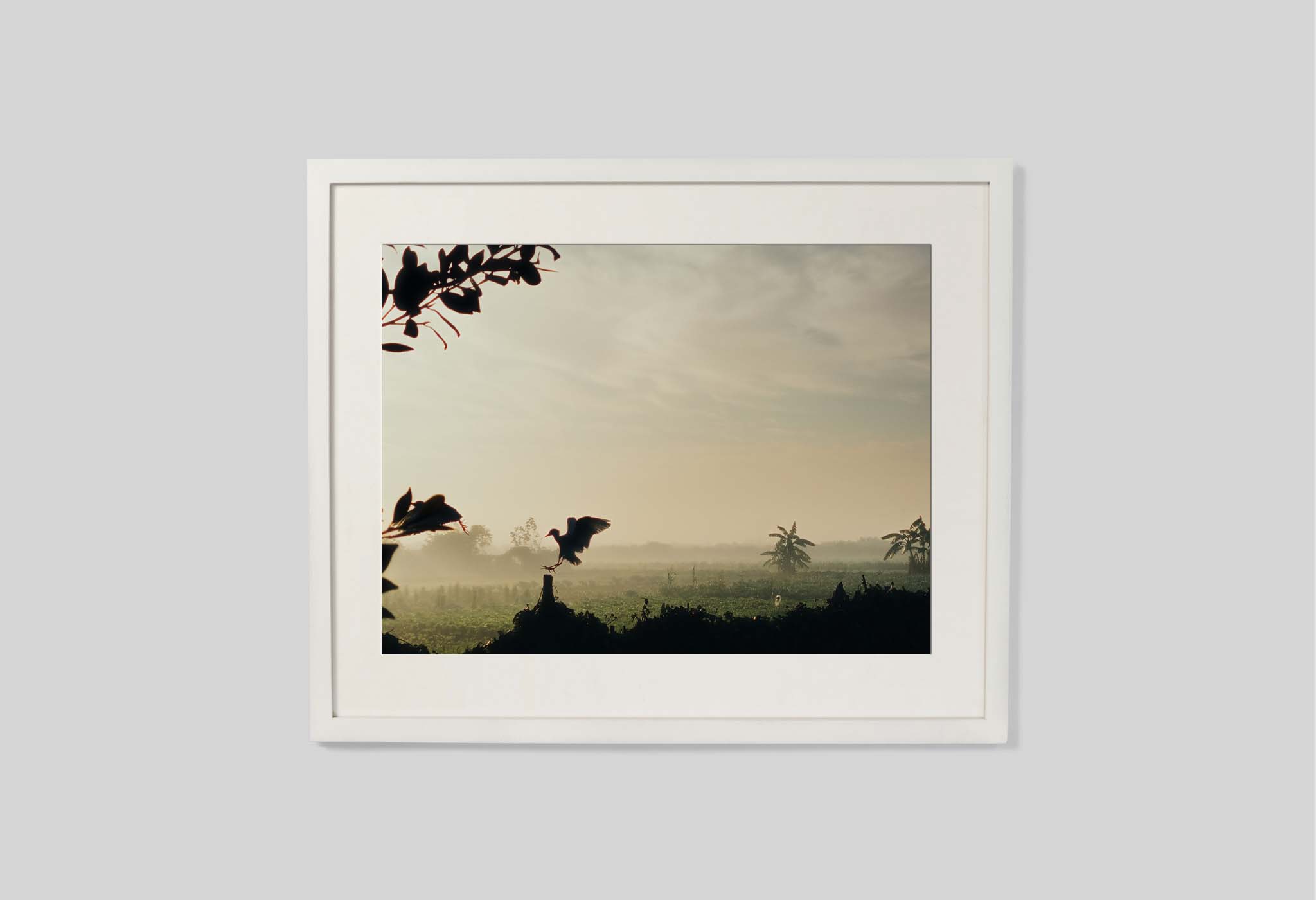 #frame size_60x50cm