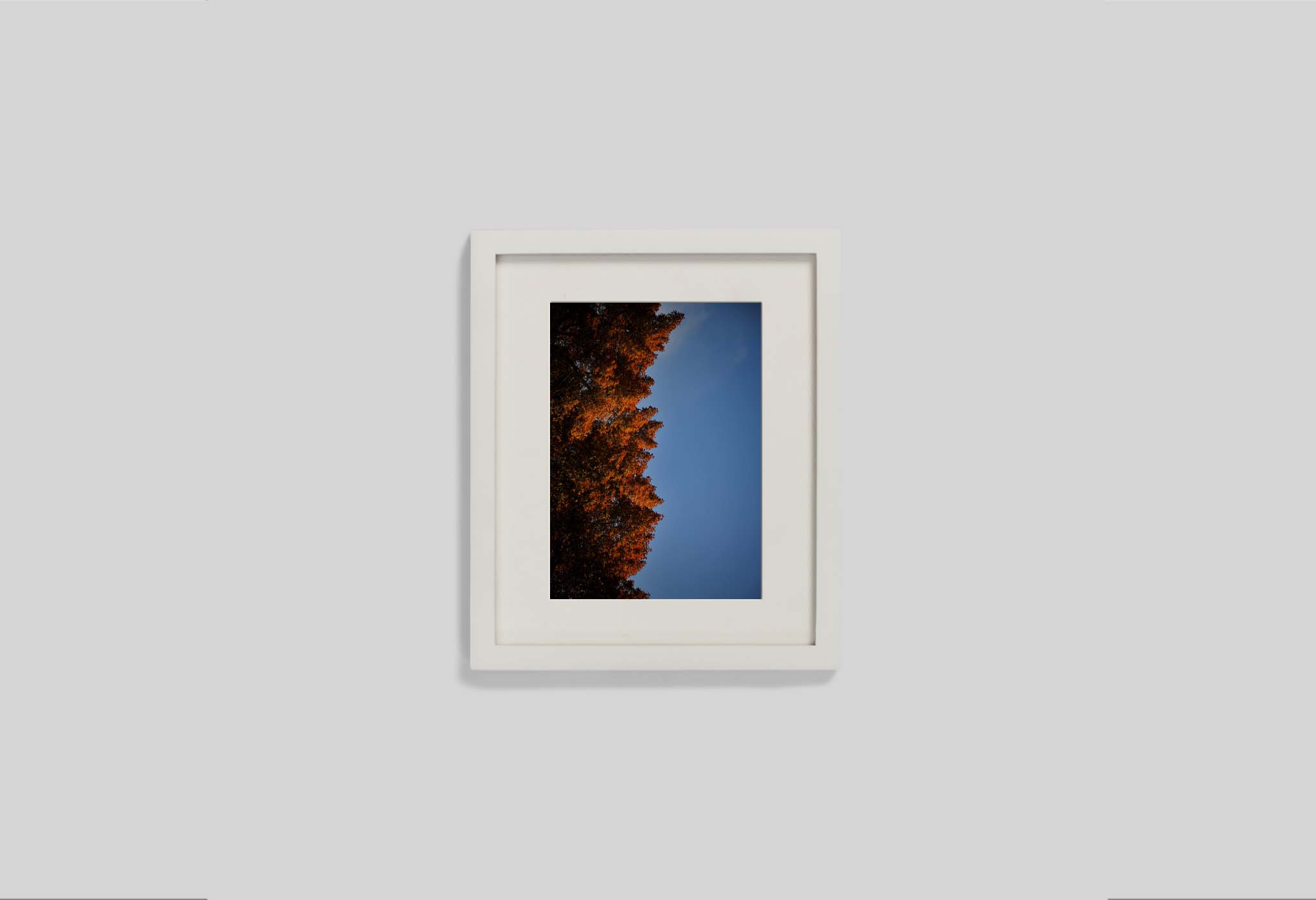 #frame size_20x25cm