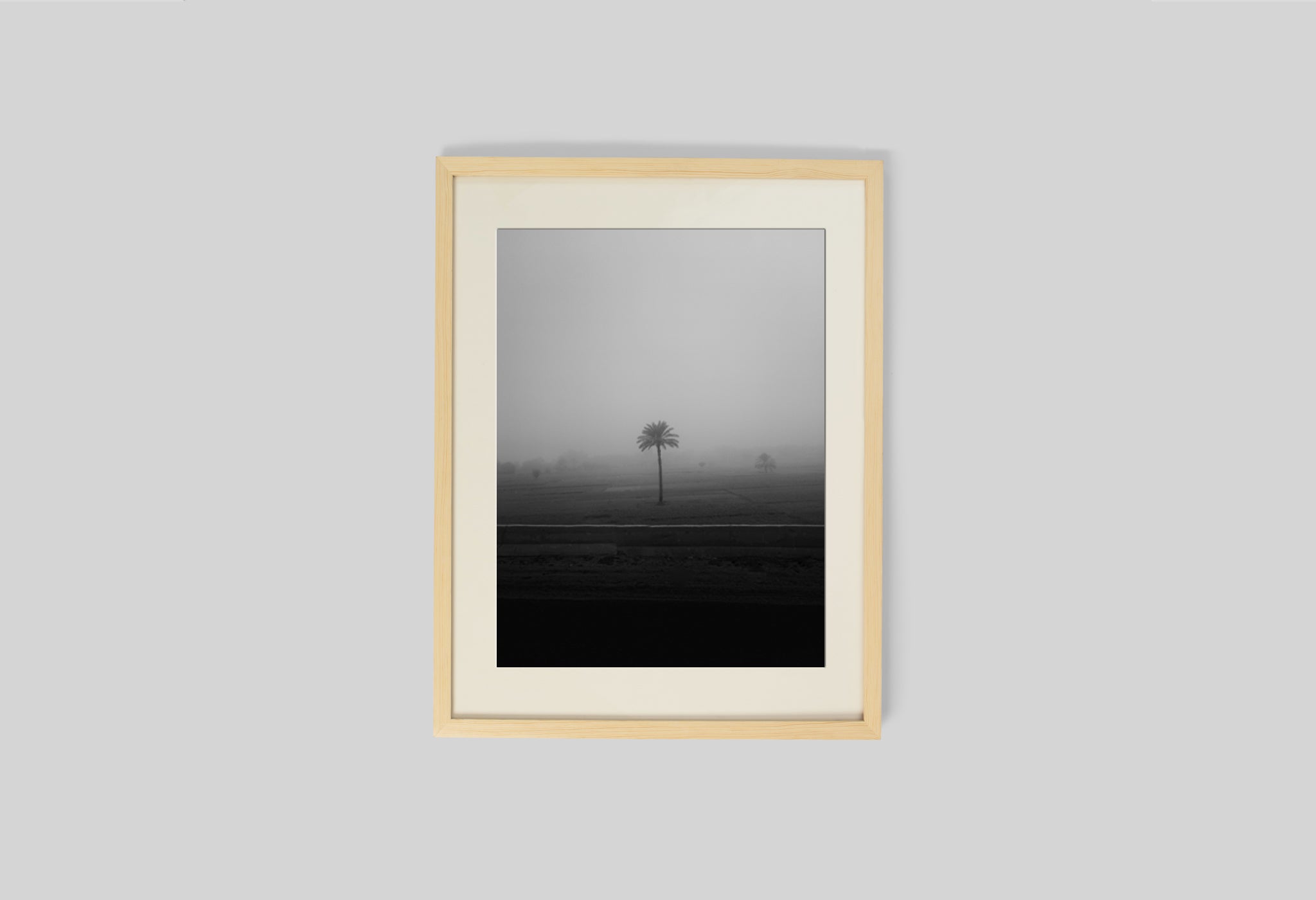 Lone Tree In The Mist