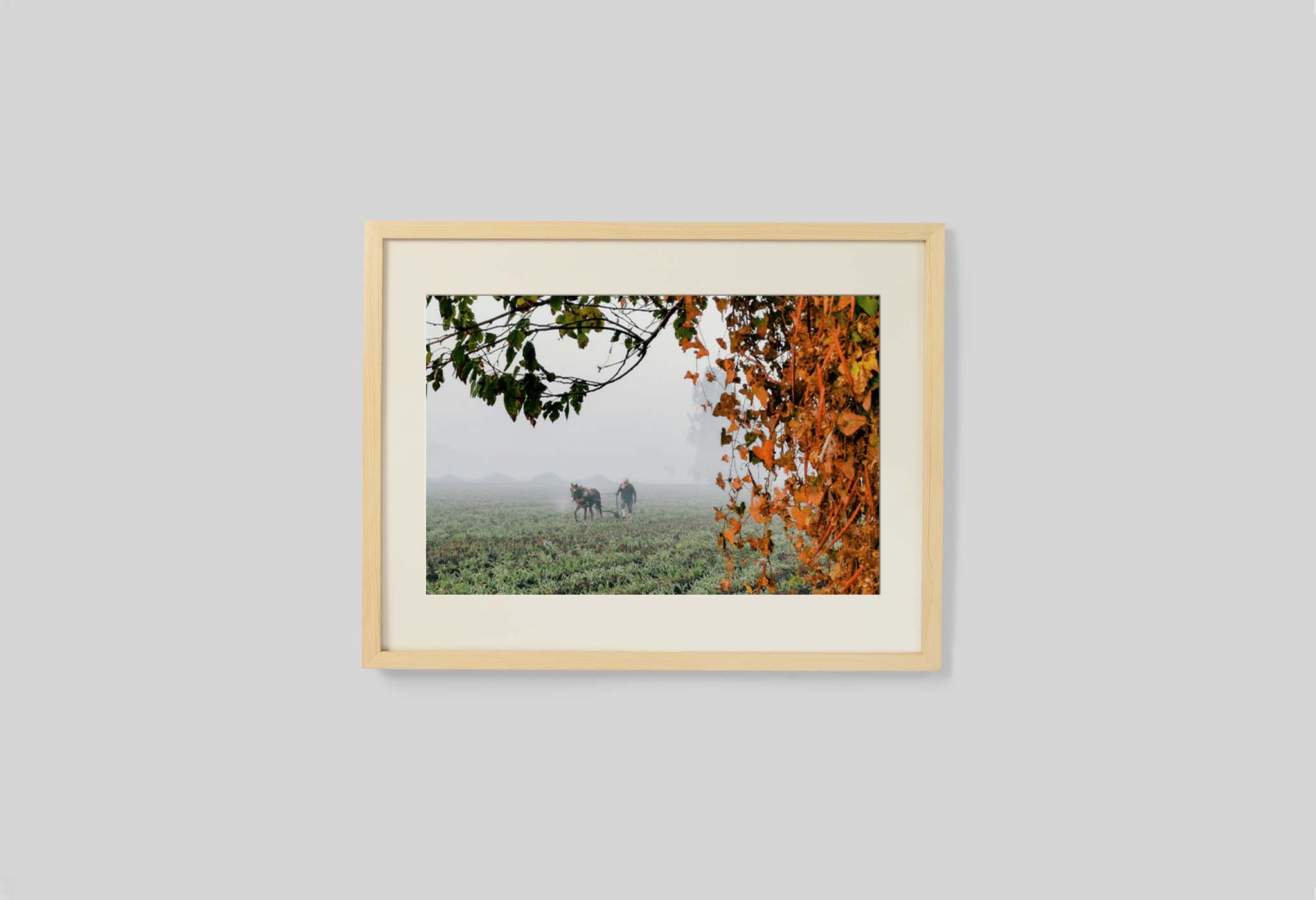 #frame size_40x30cm