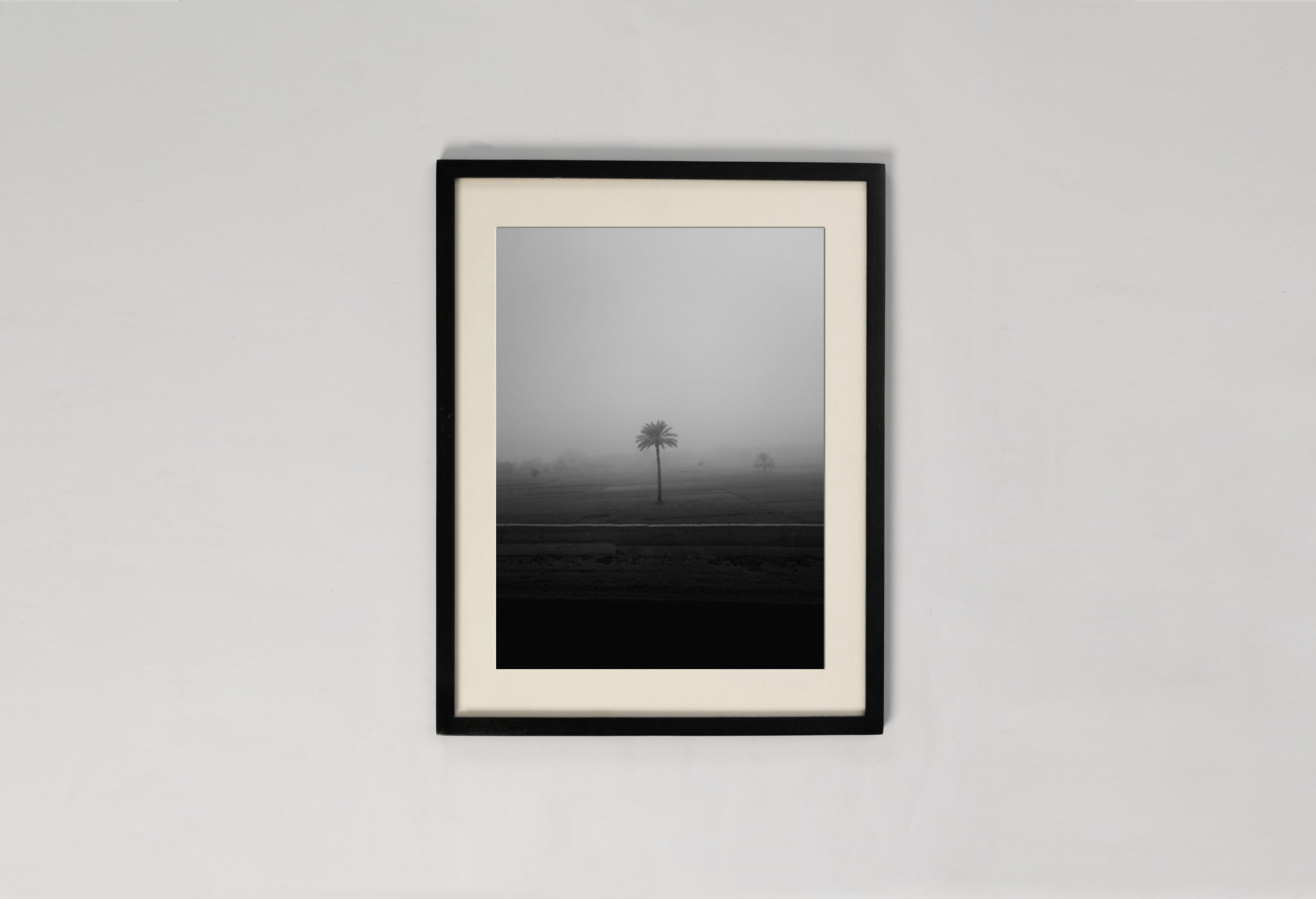 Lone Tree In The Mist