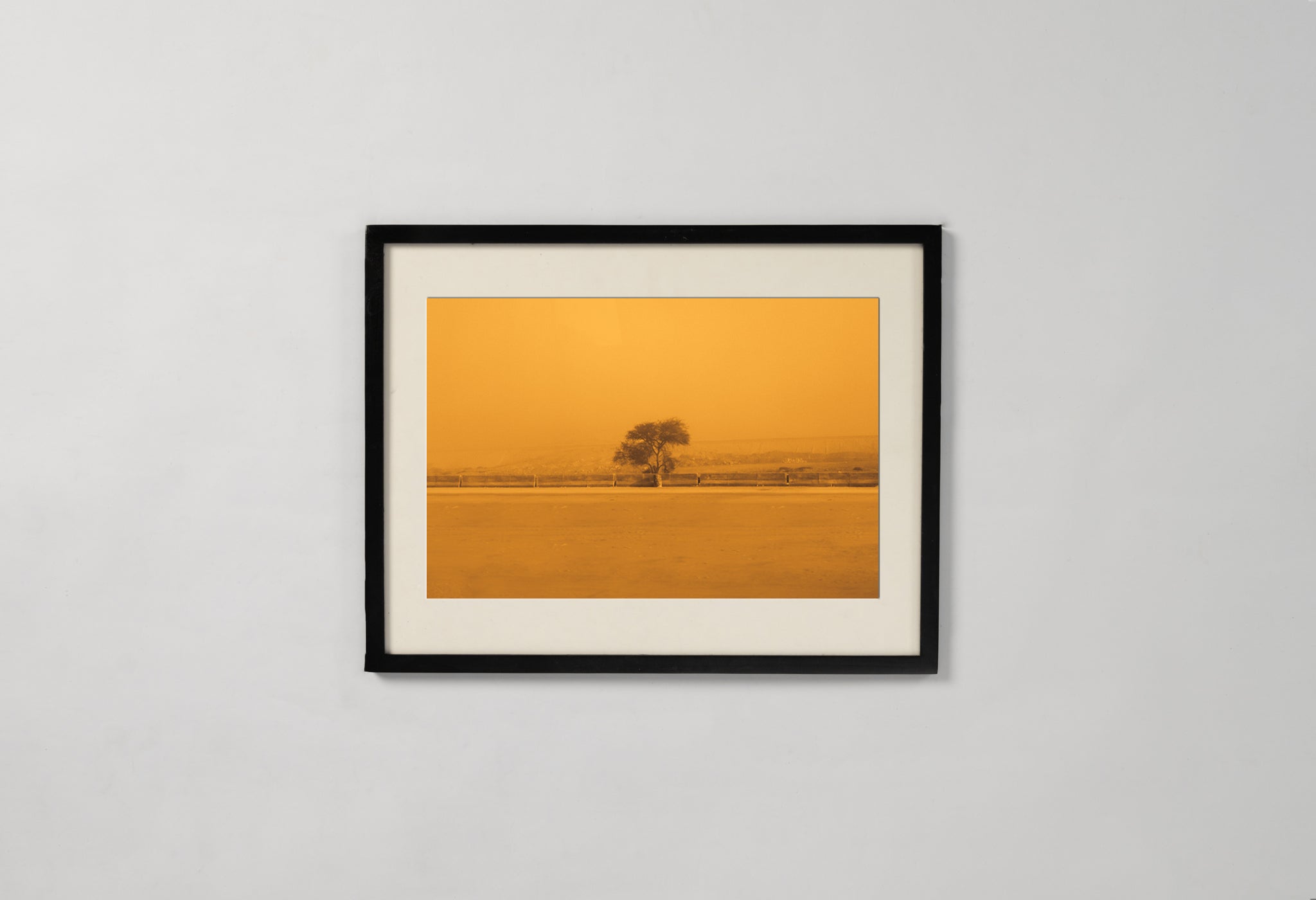 The Sepia-Tinted Tree