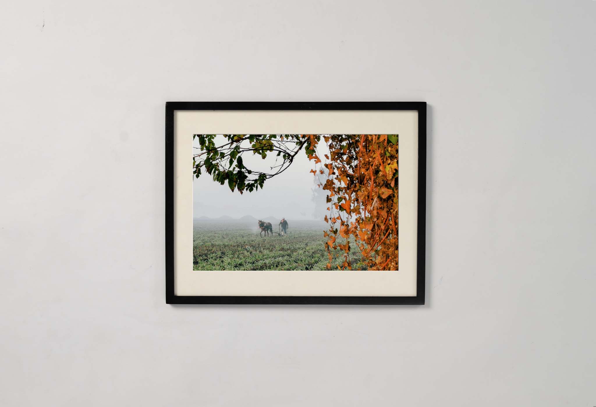 #frame size_40x30cm