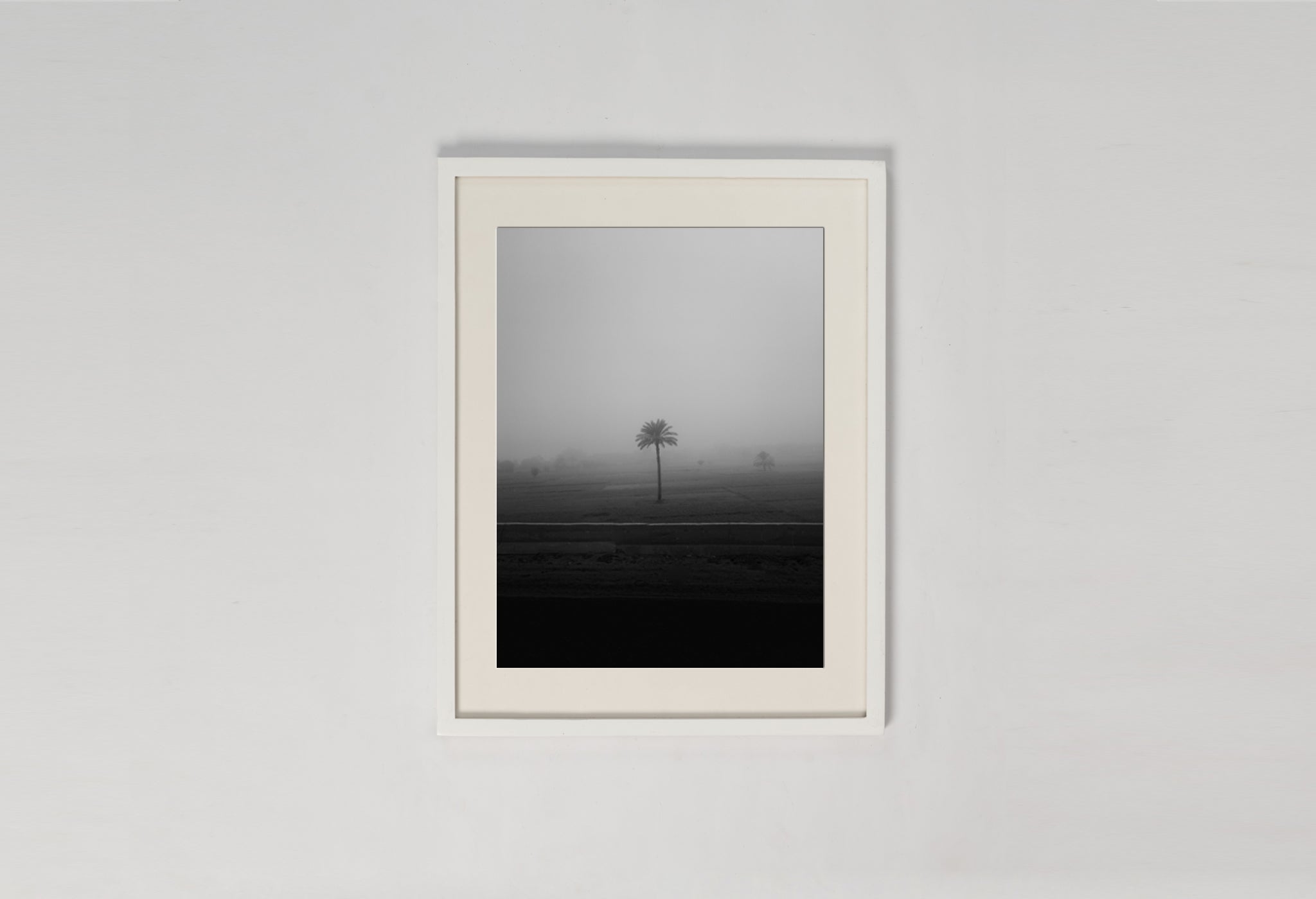 Lone Tree In The Mist