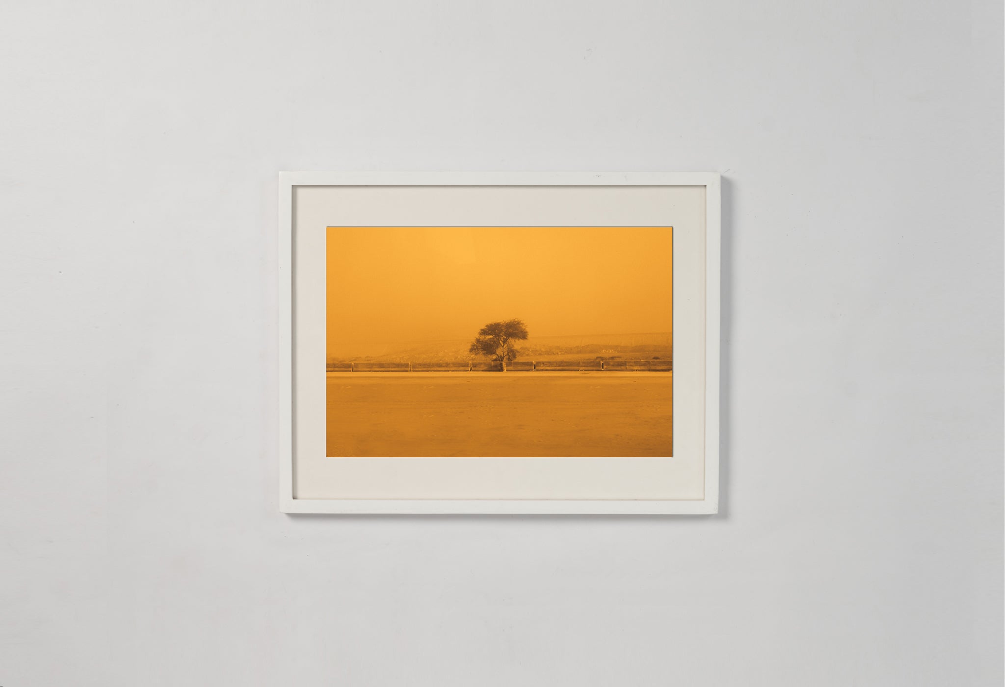 The Sepia-Tinted Tree