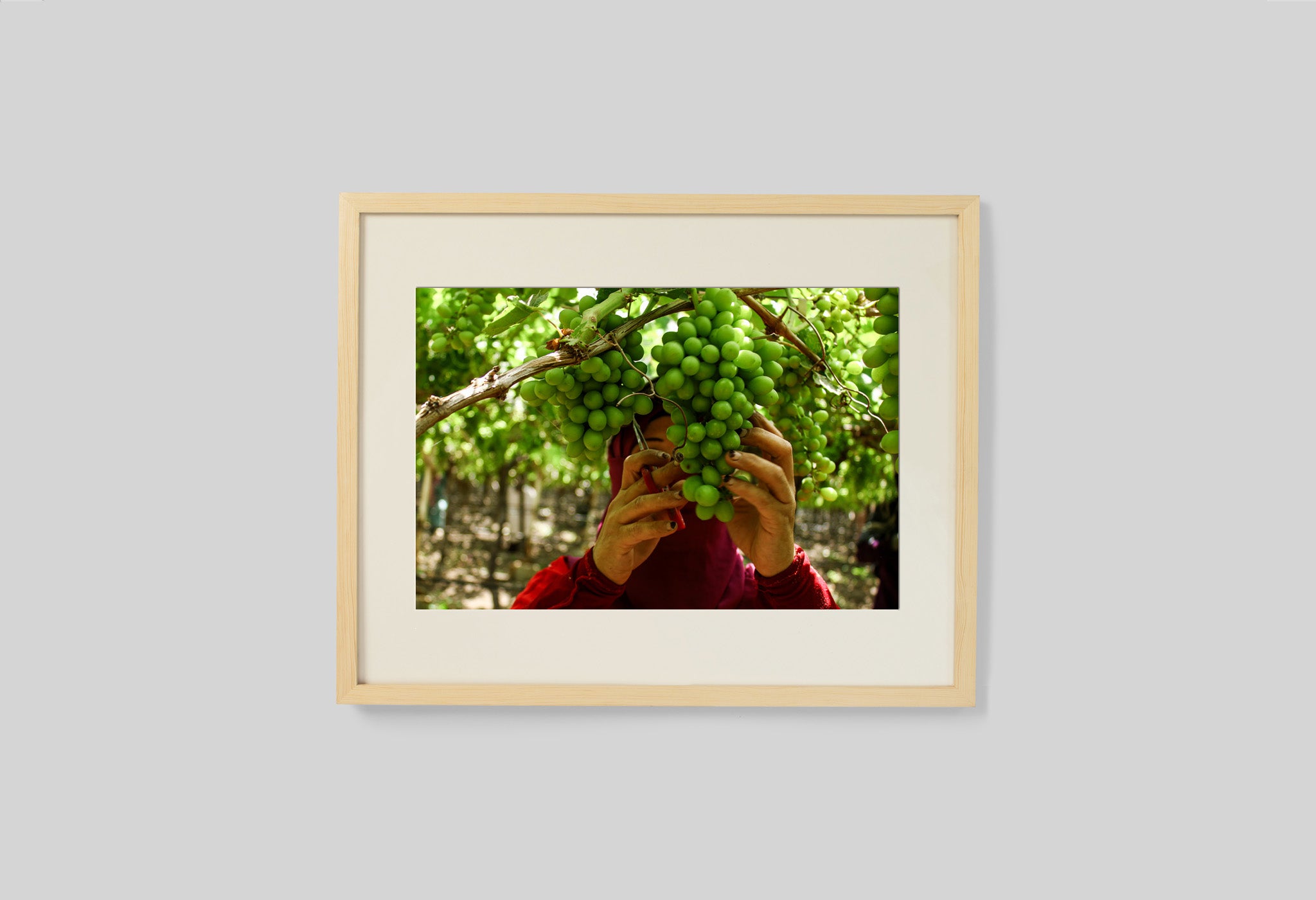 #frame size_50x40cm