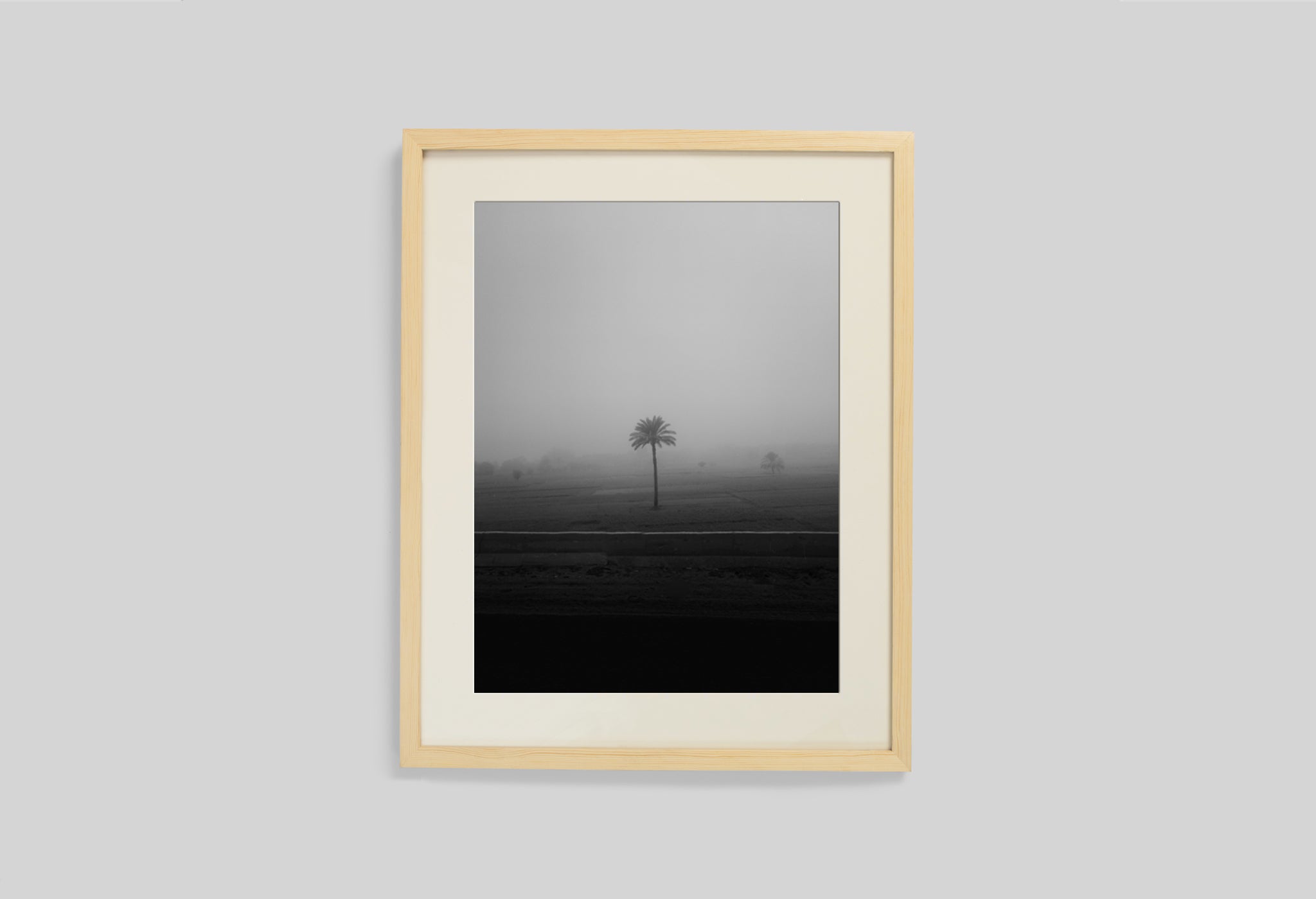 Lone Tree In The Mist