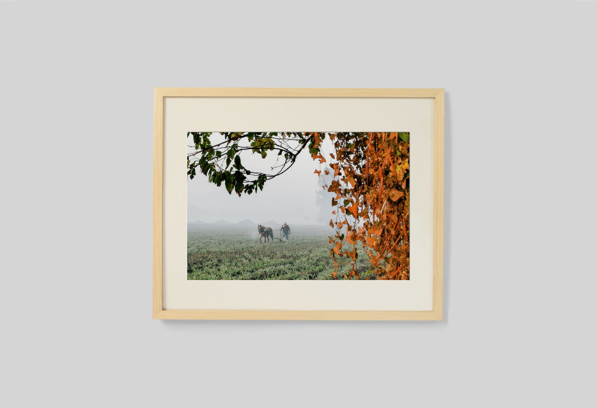 #frame size_50x40cm