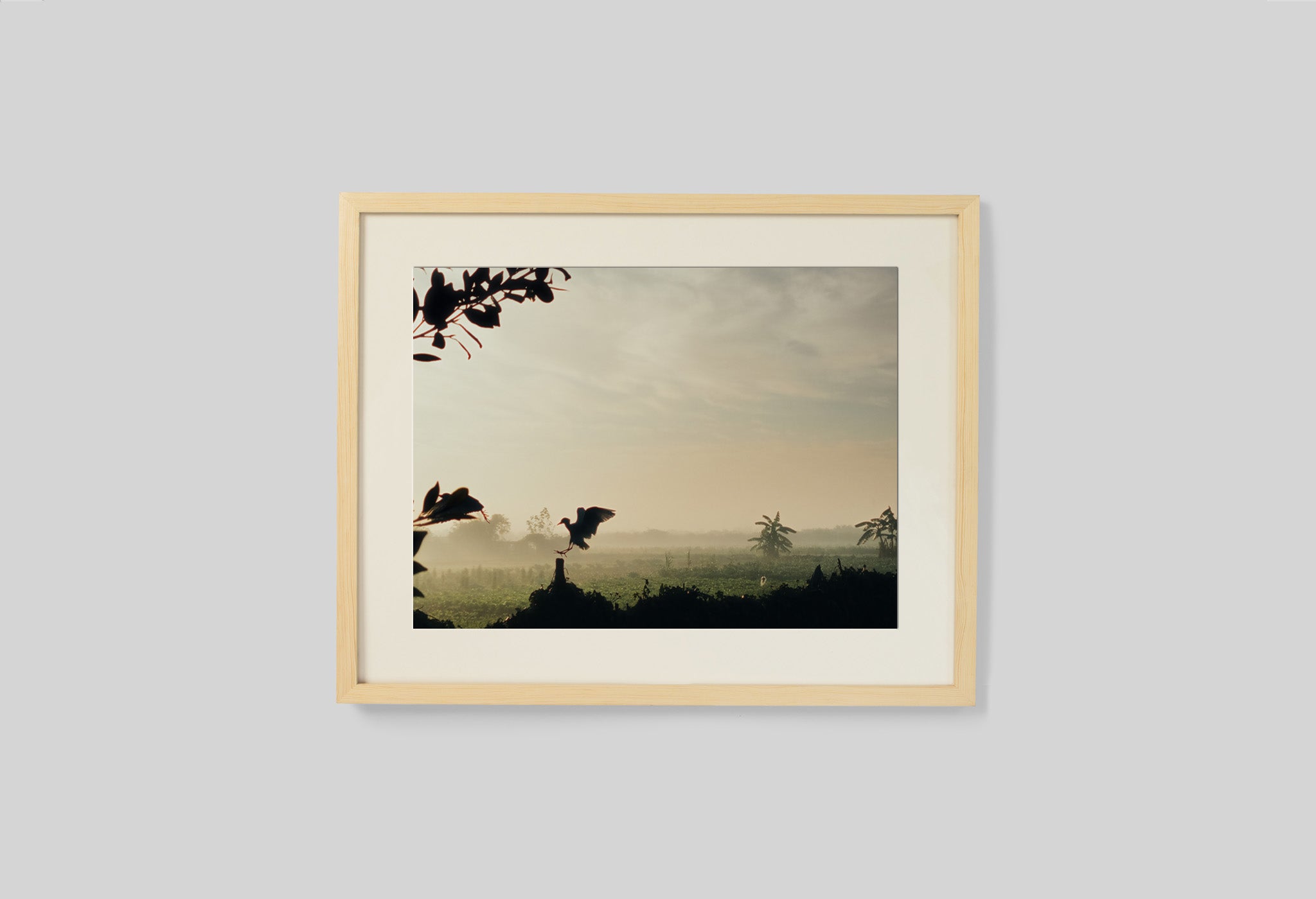 #frame size_50x40cm