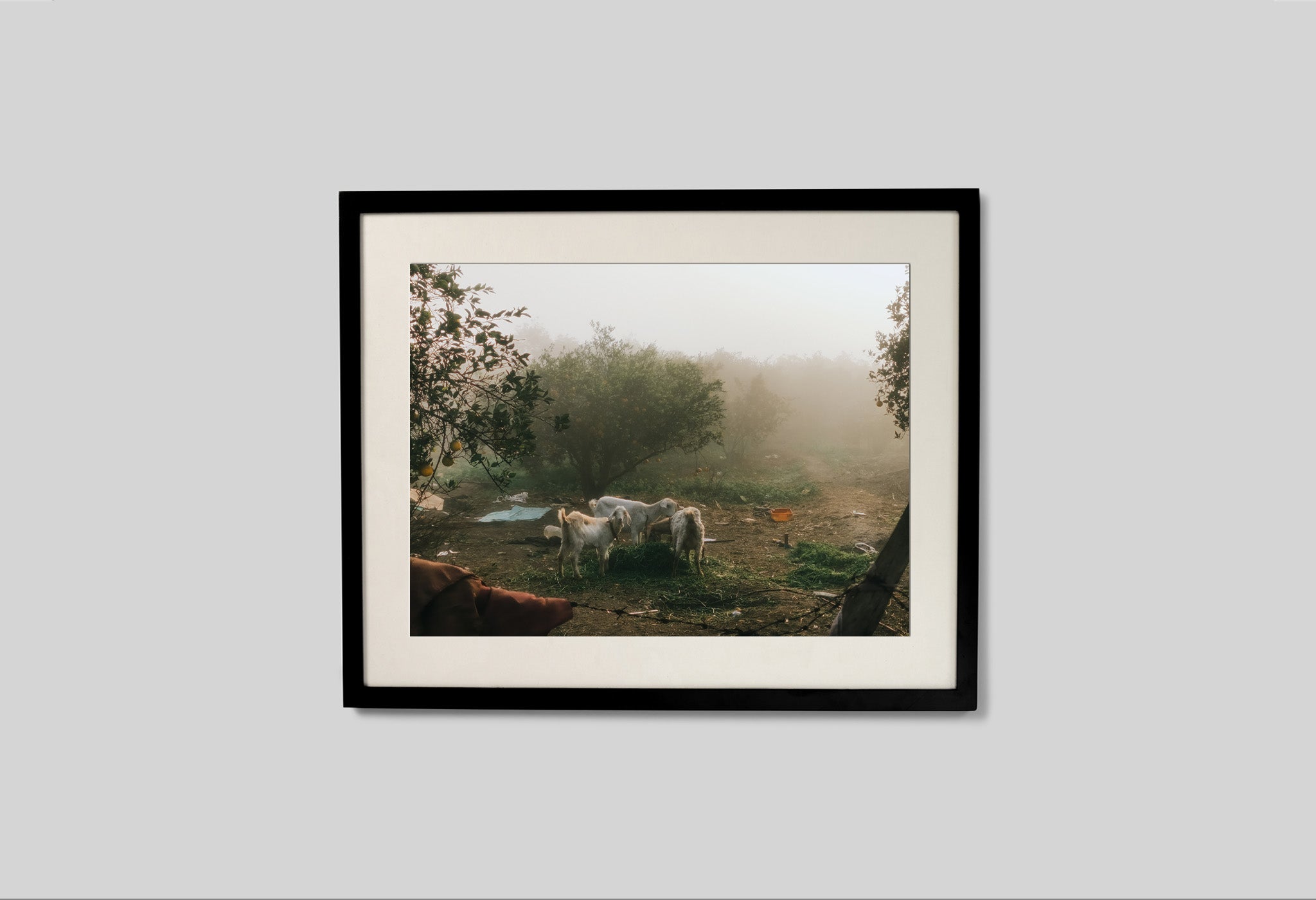 #frame size_50x40cm