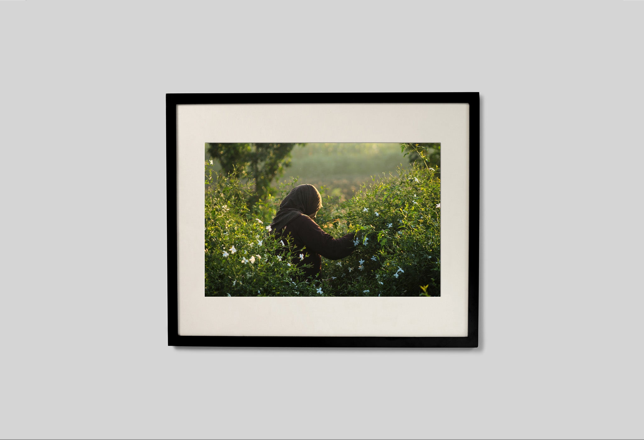 #frame size_50x40cm