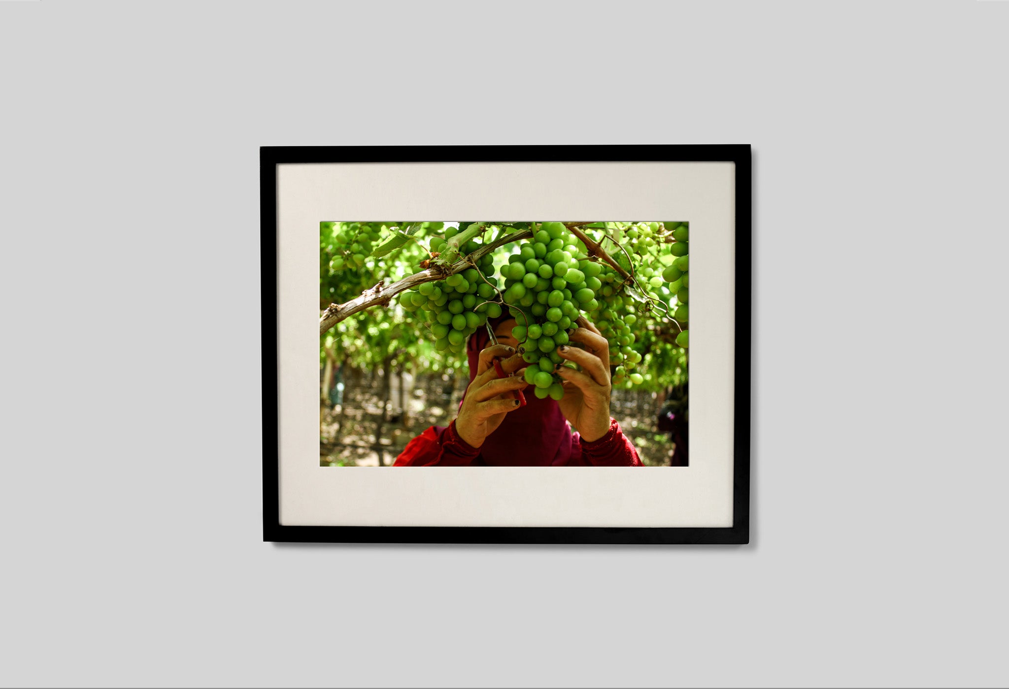 #frame size_50x40cm