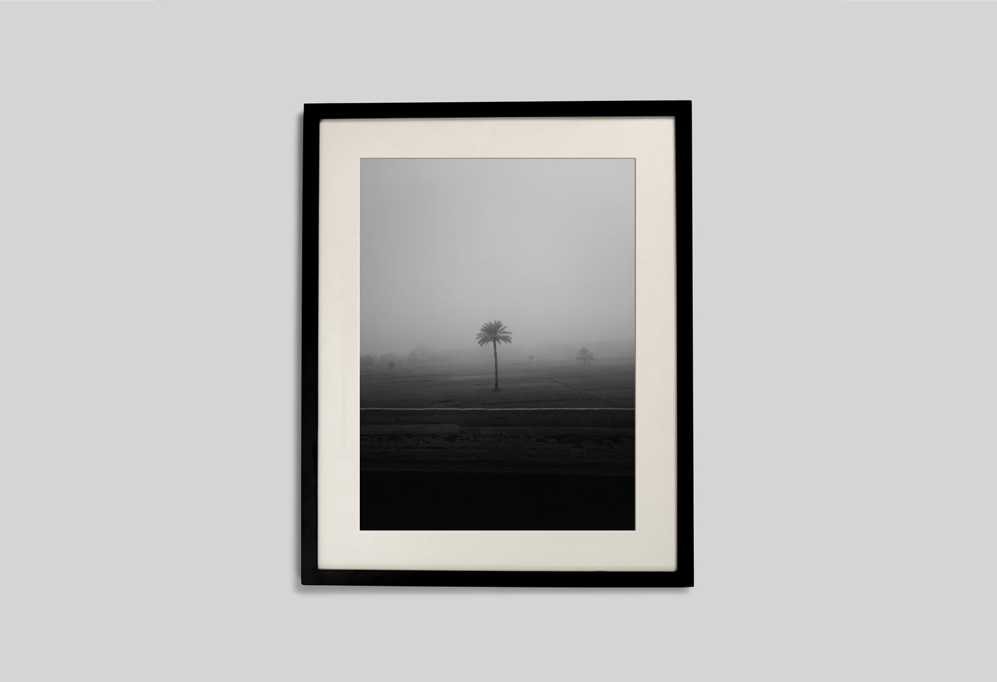 Lone Tree In The Mist