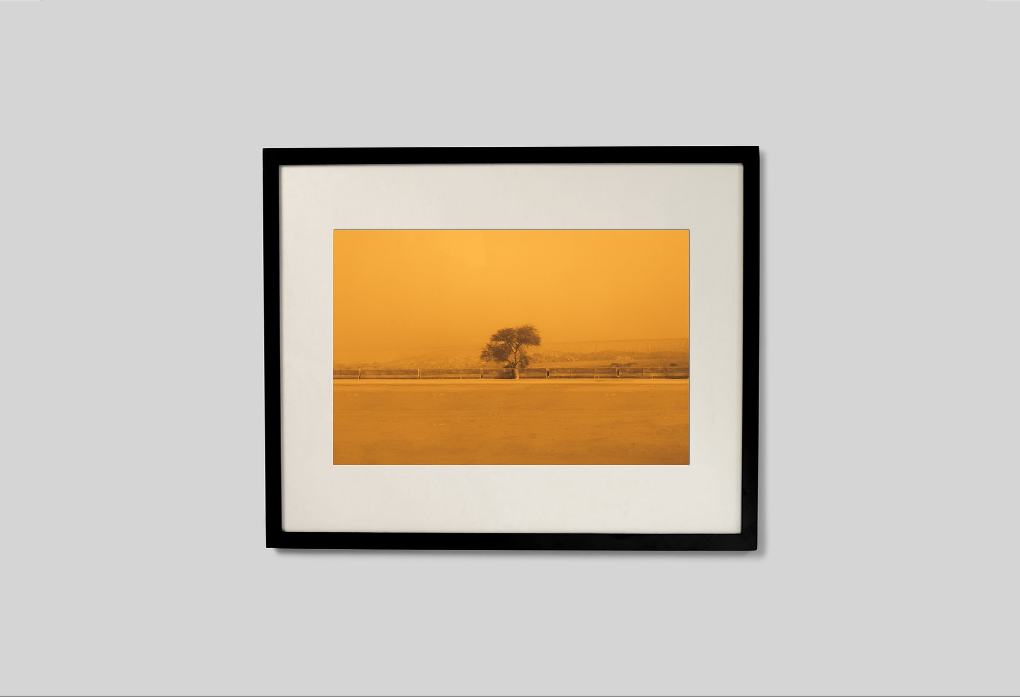 The Sepia-Tinted Tree