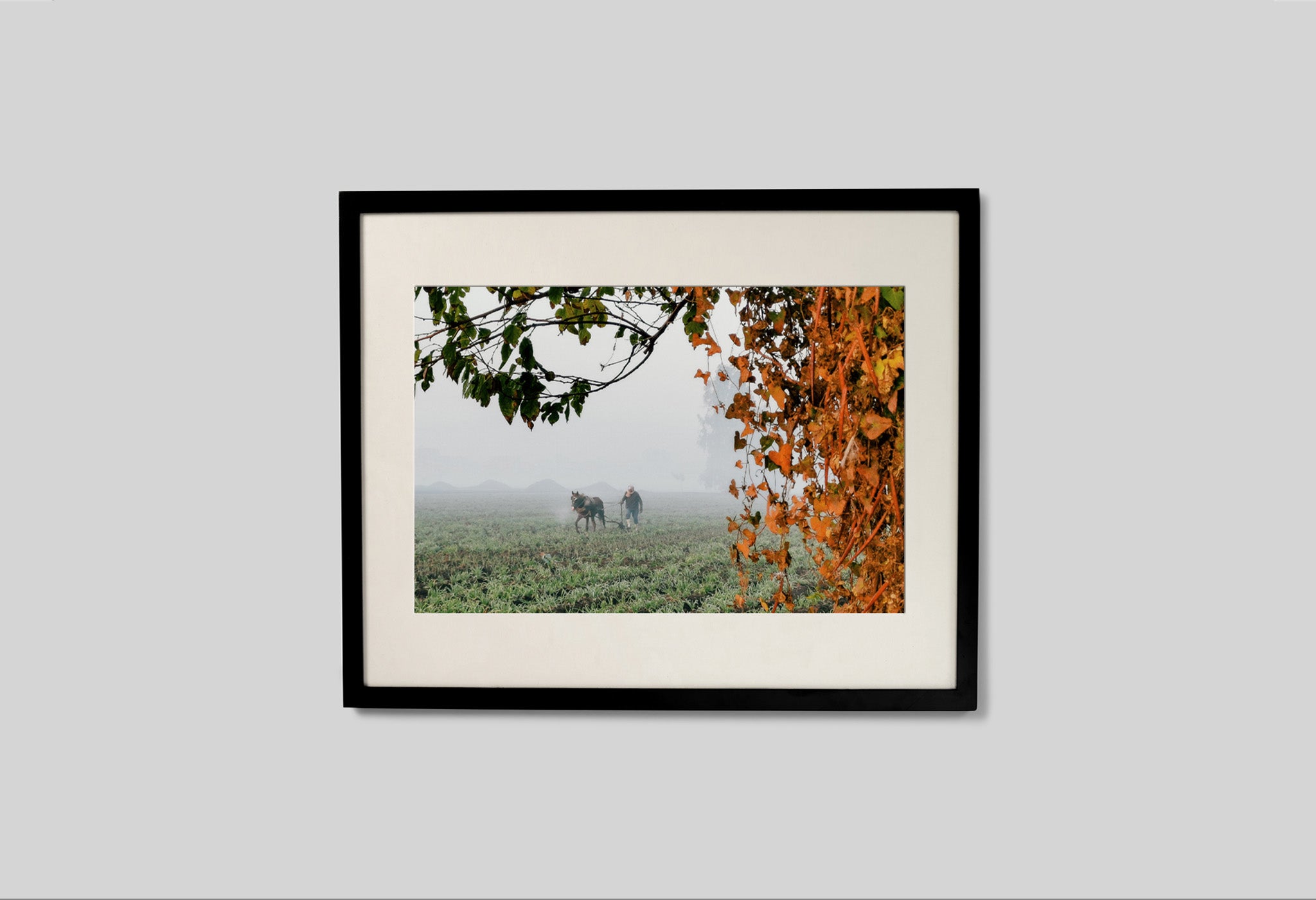 #frame size_50x40cm