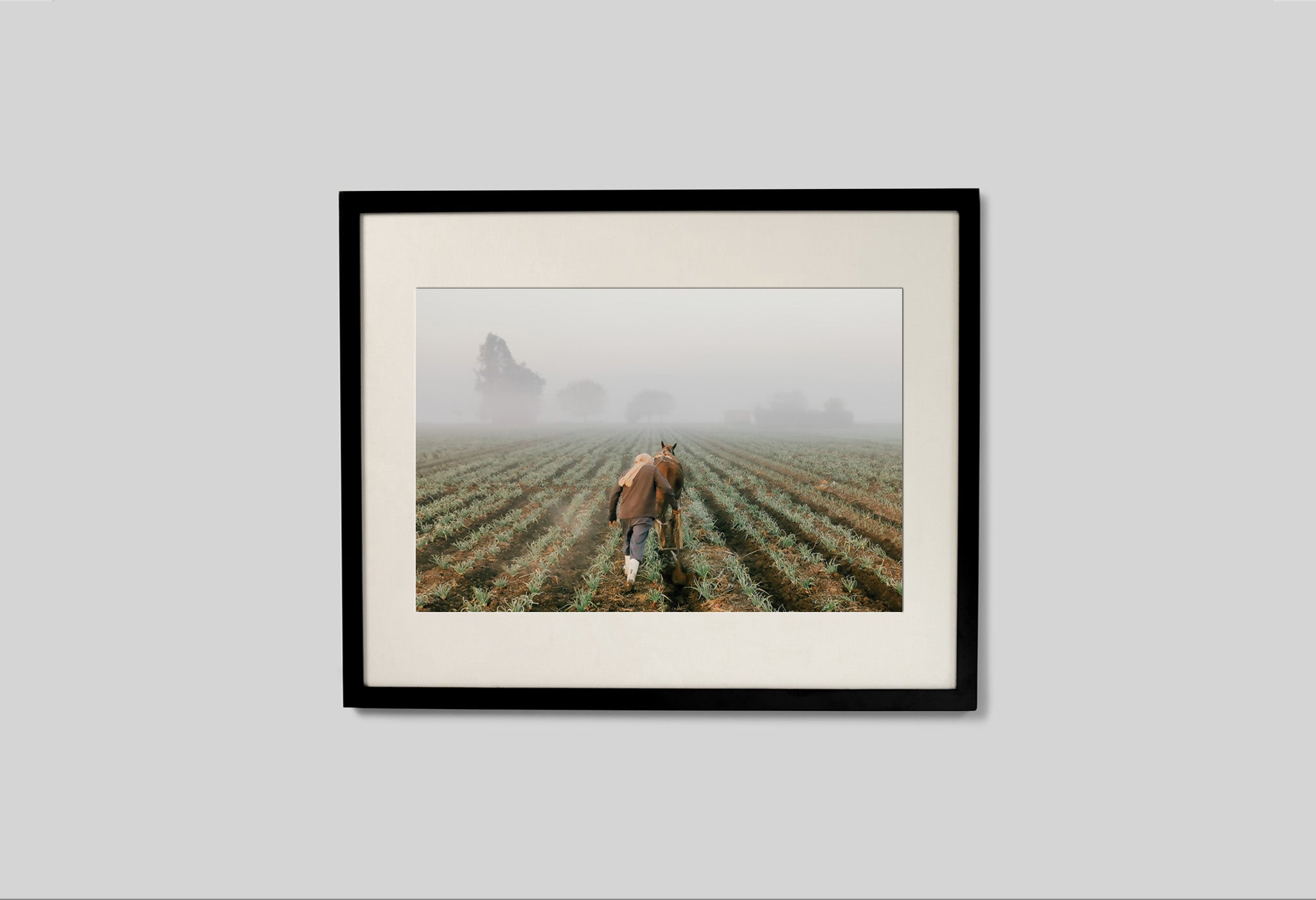 #frame size_50x40cm