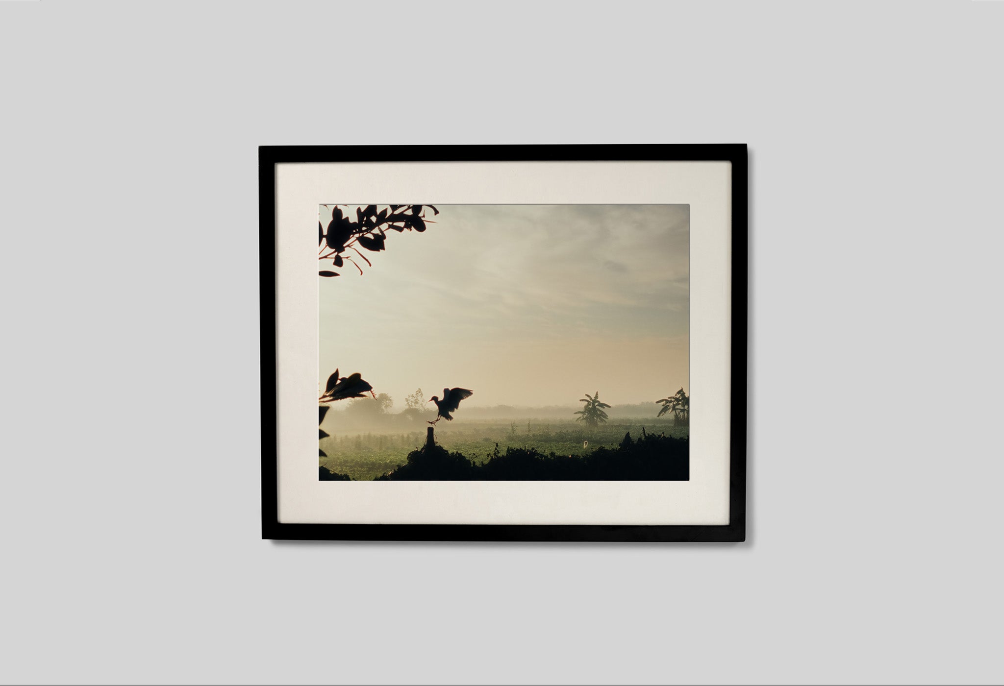 #frame size_50x40cm