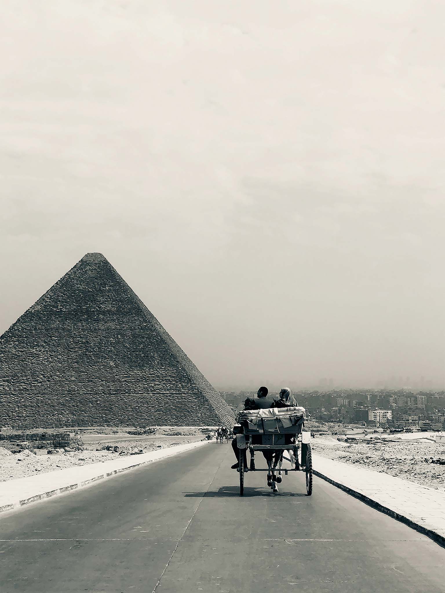 The Tourist Cart